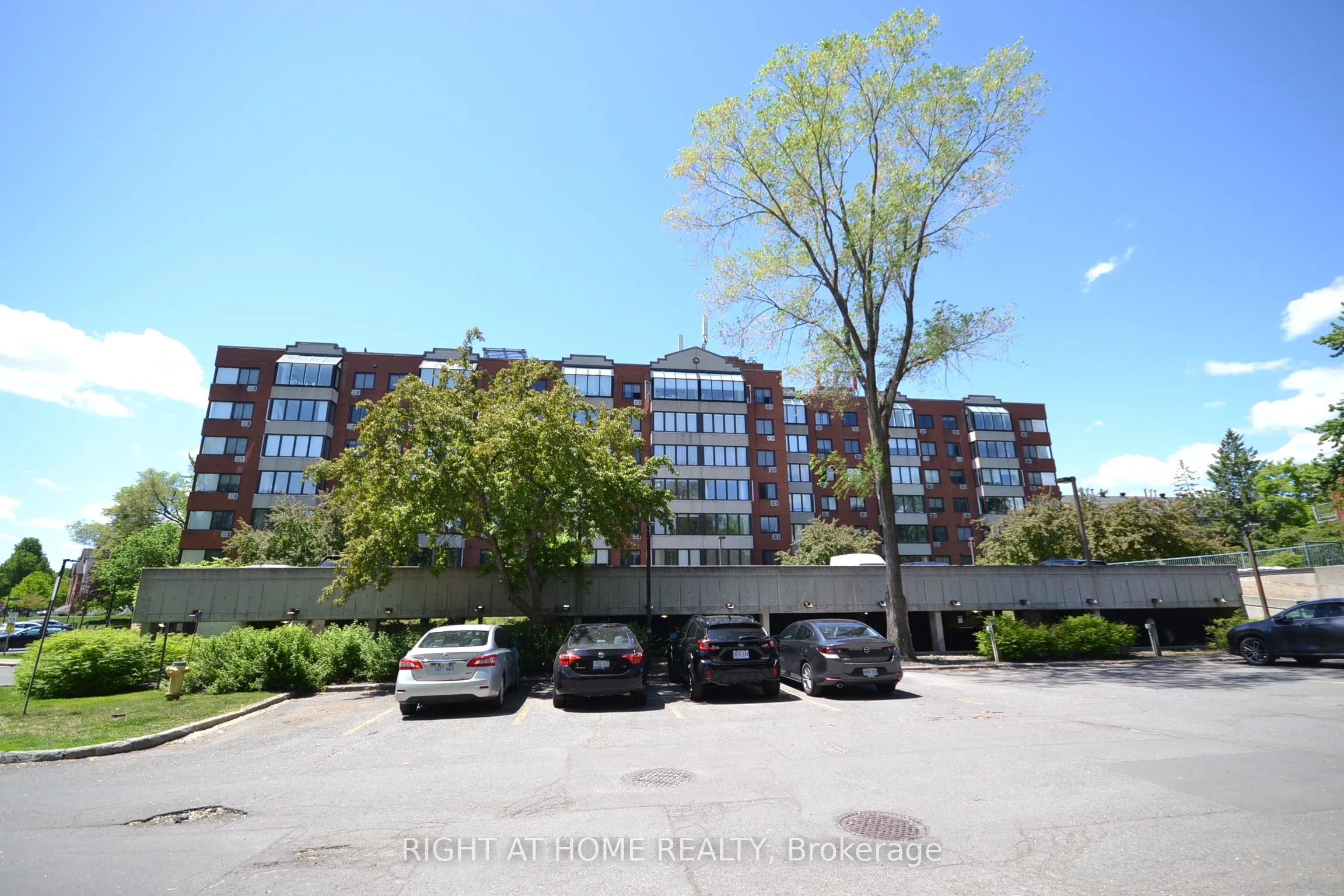 225 Alvin Road N #309