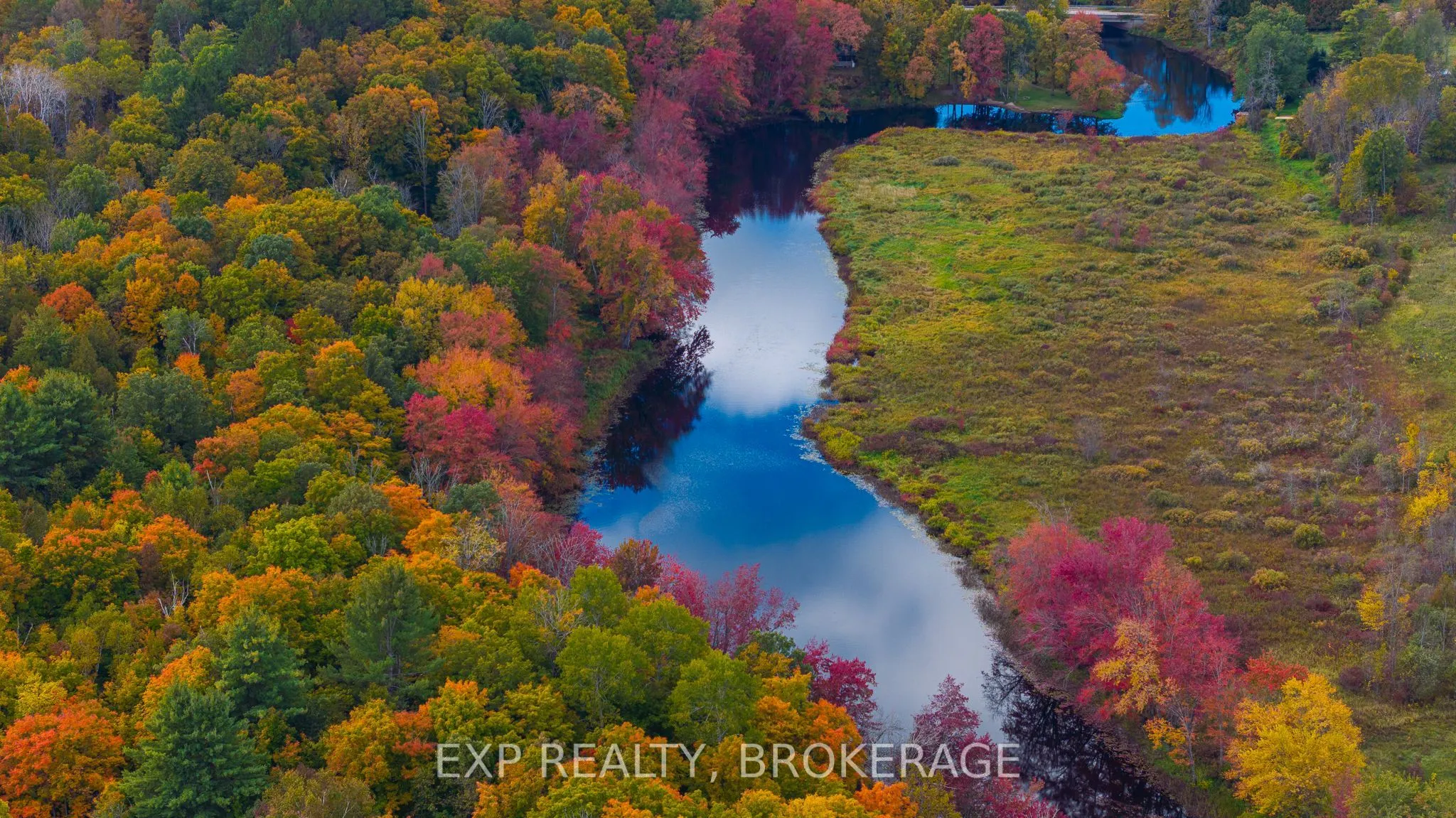 1256 Elm Tree Road