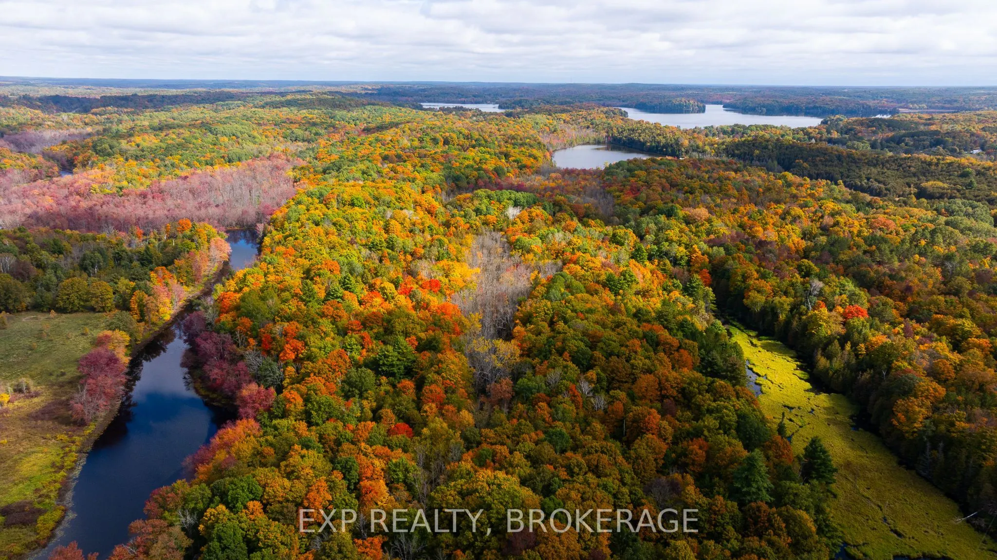 1256 Elm Tree Road