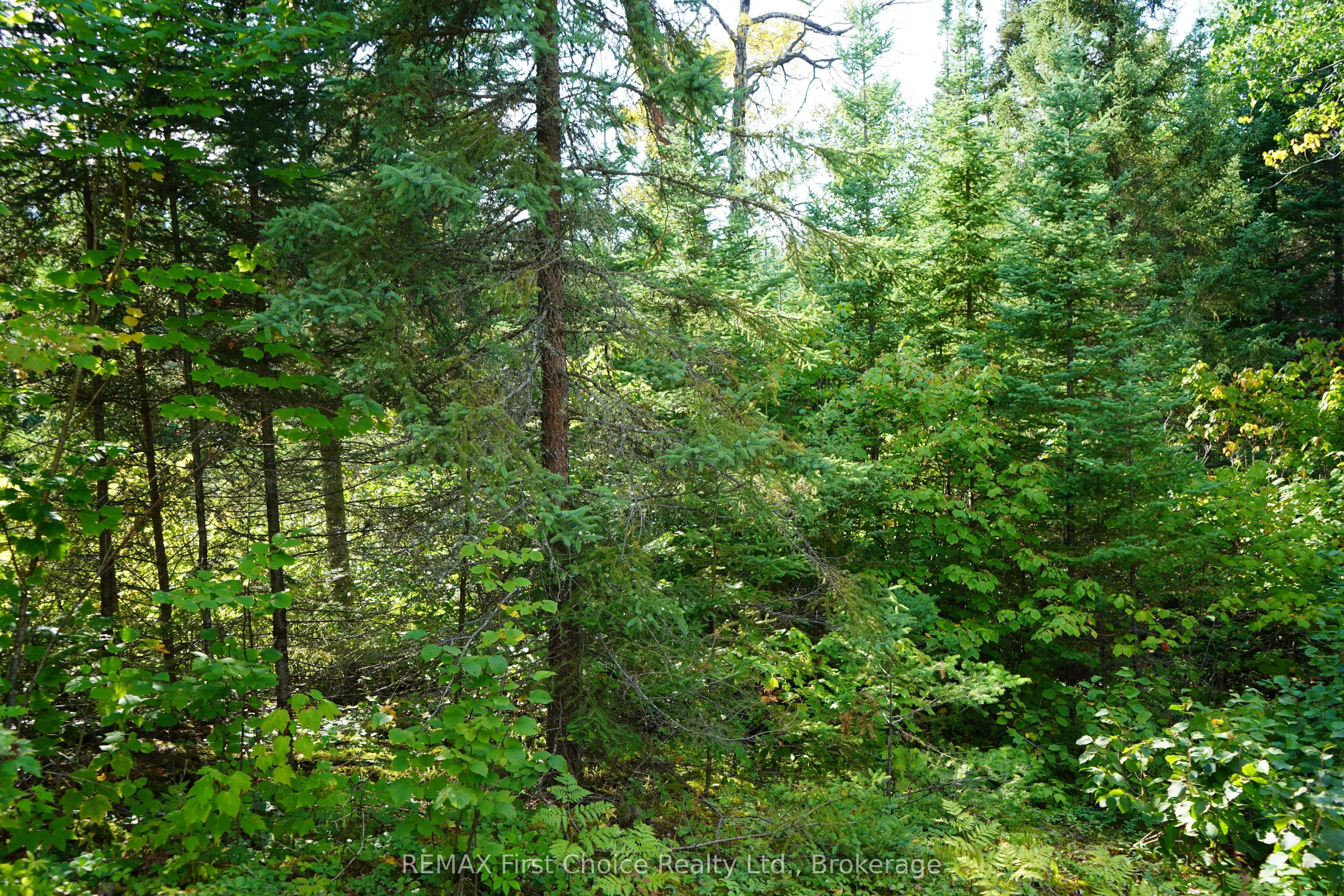 Lot 2 Gunn Lake Road #2