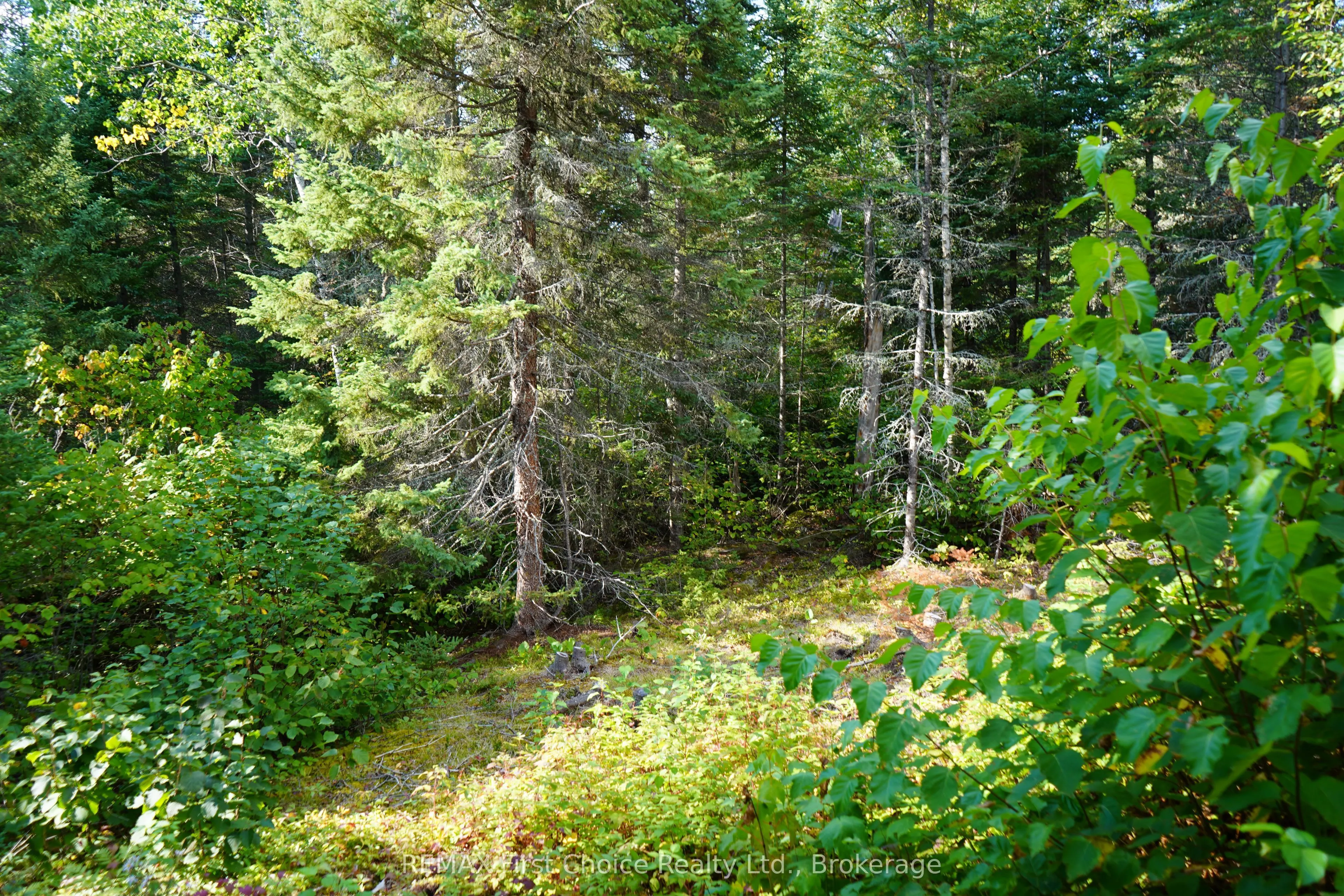 Lot 2 Gunn Lake Road #2