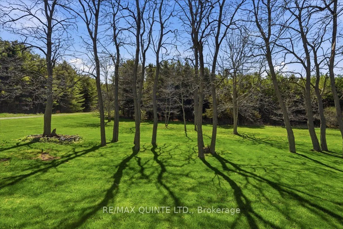 1686 County Road 13