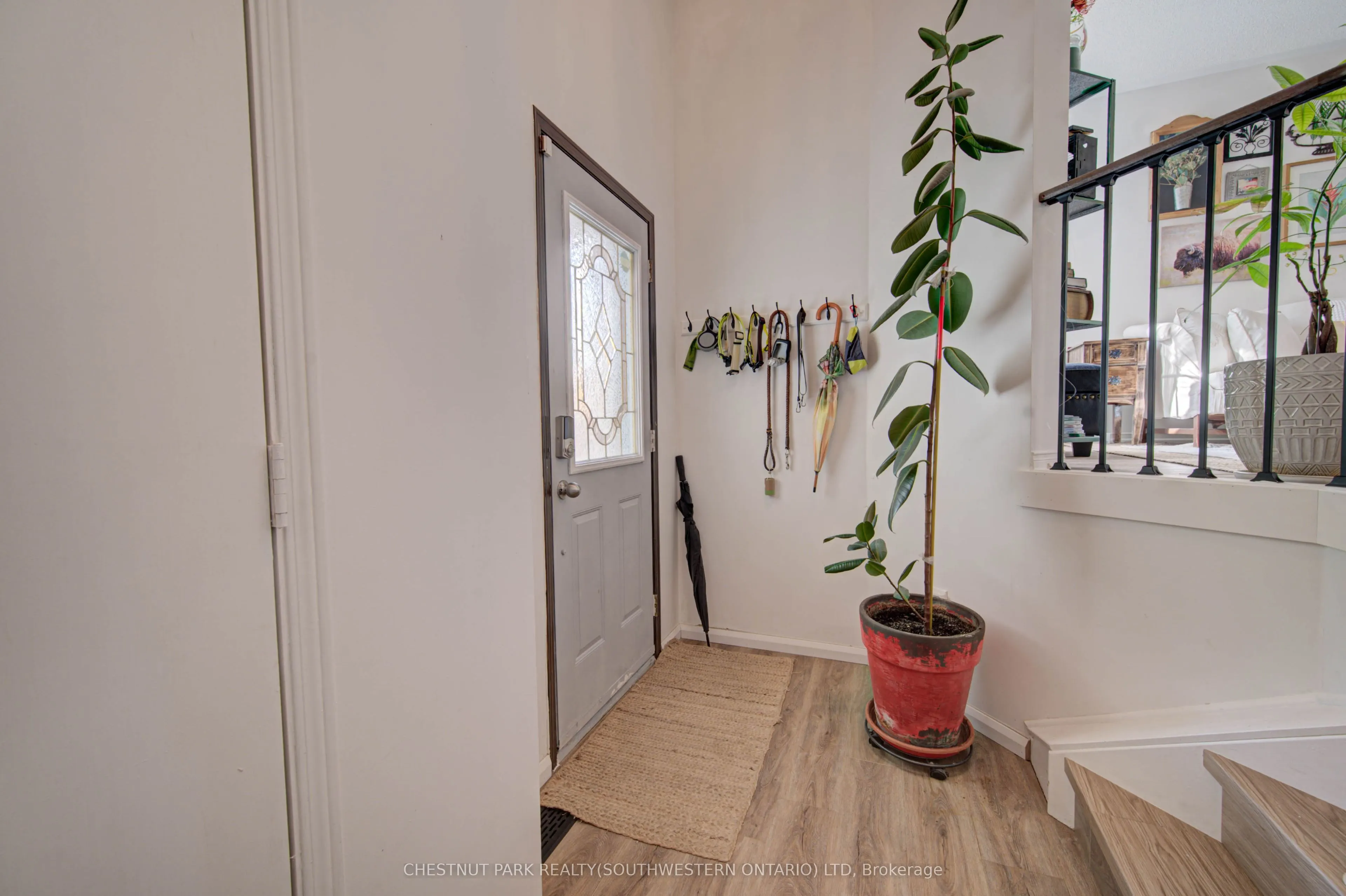 317 Christopher Drive
