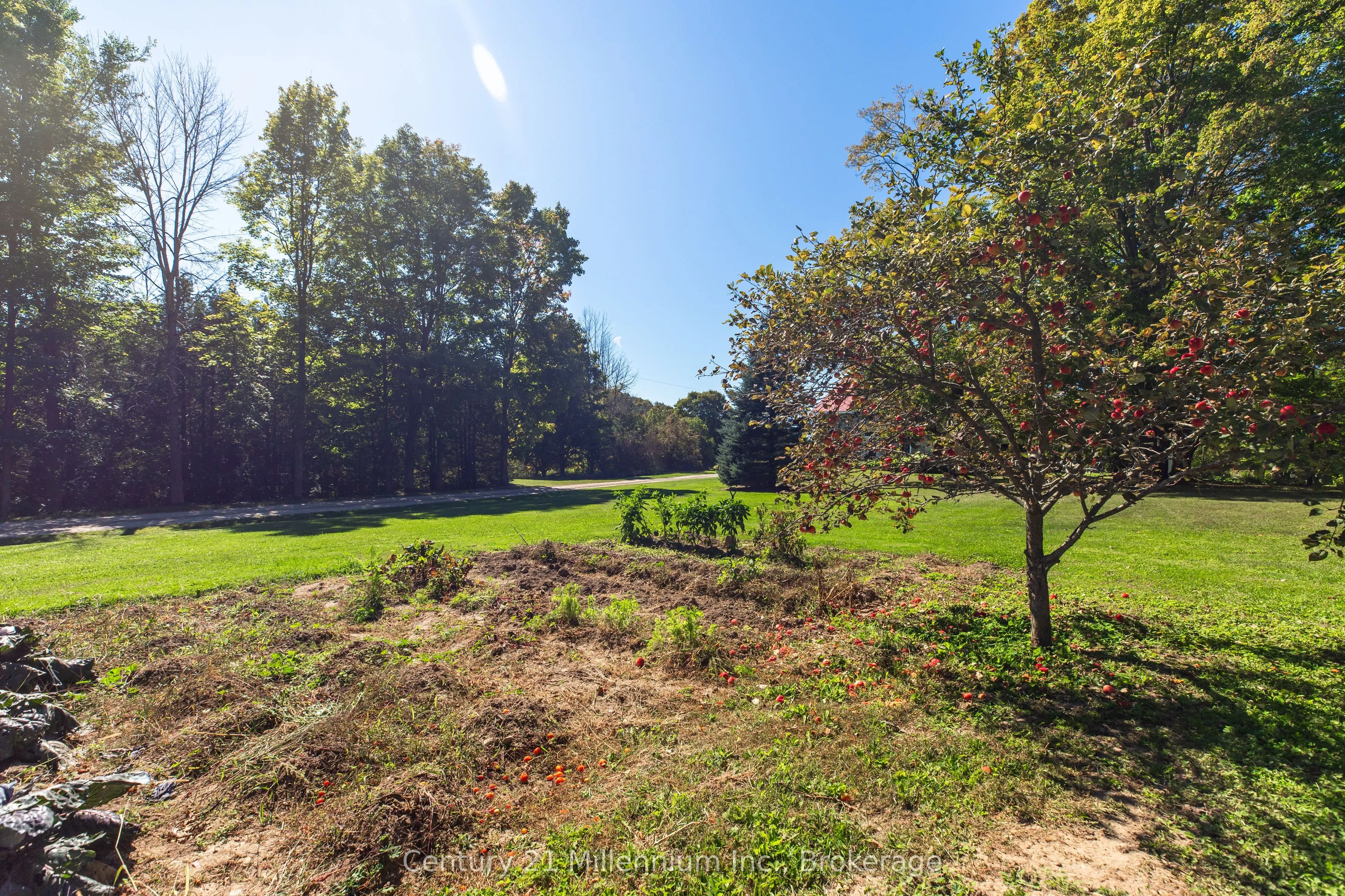 395 Elsinore Road N