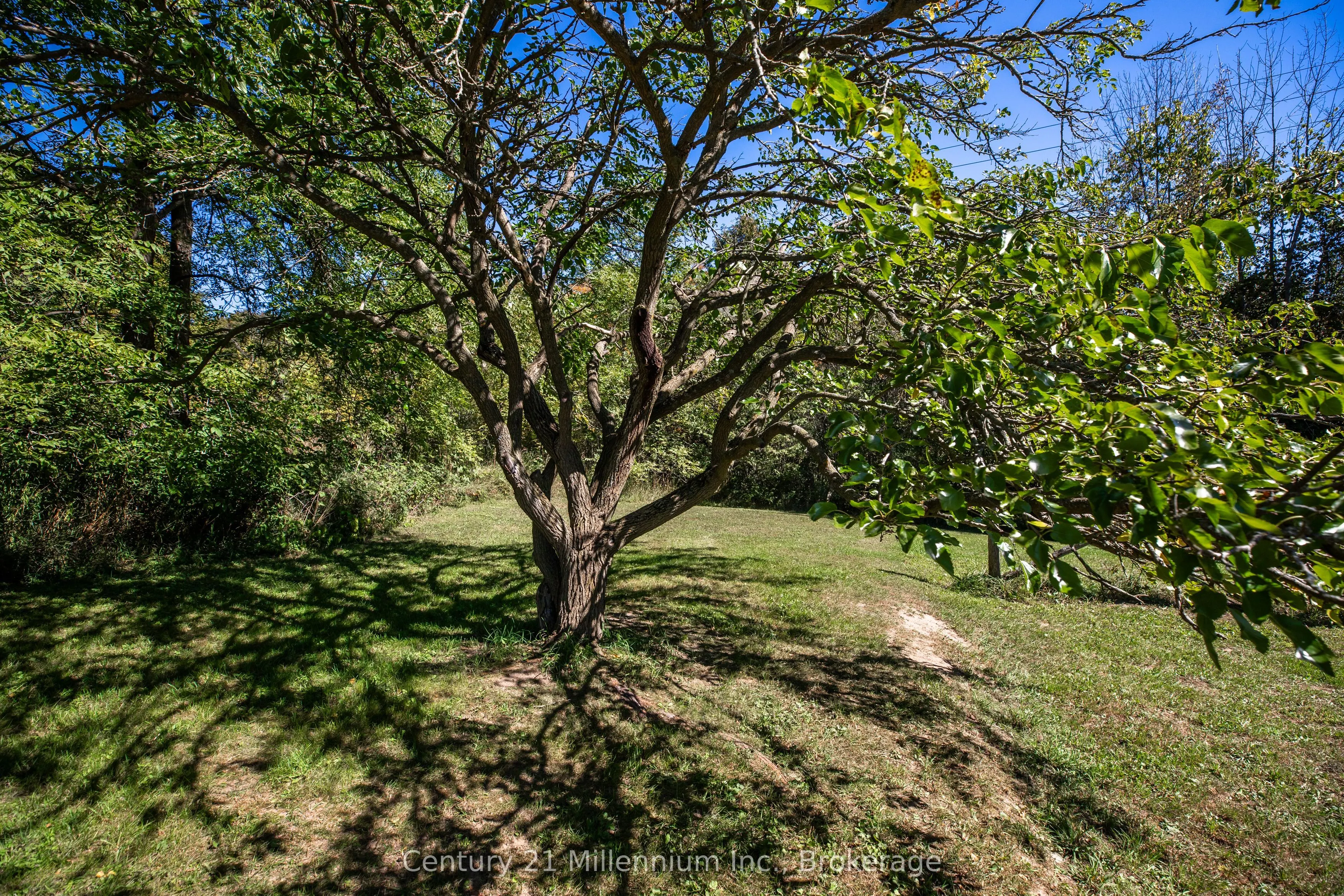 395 Elsinore Road N