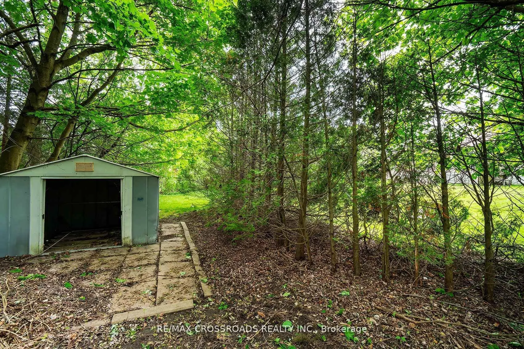 19 Orchard Avenue