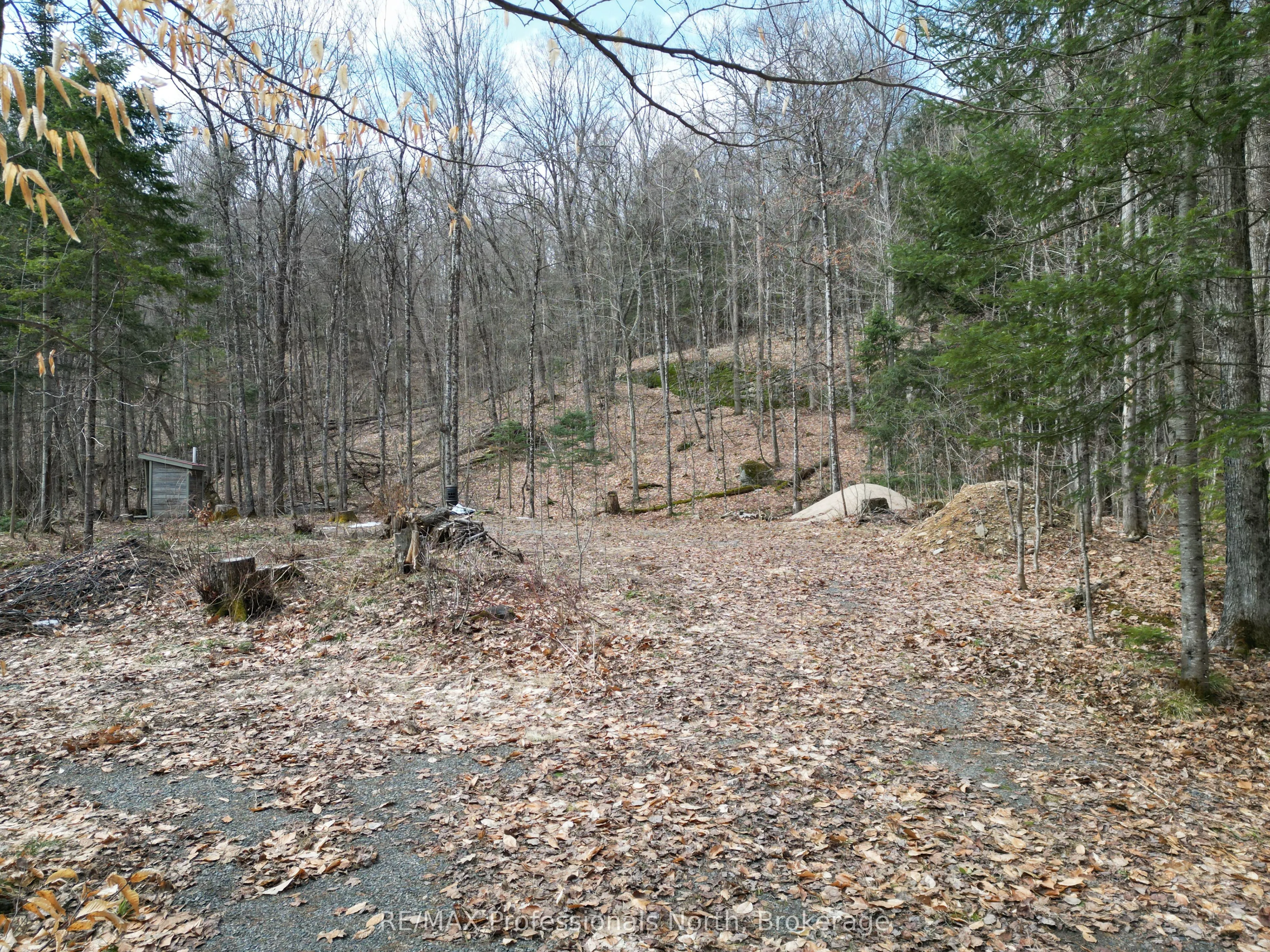 1231 Big Hawk Lake Road