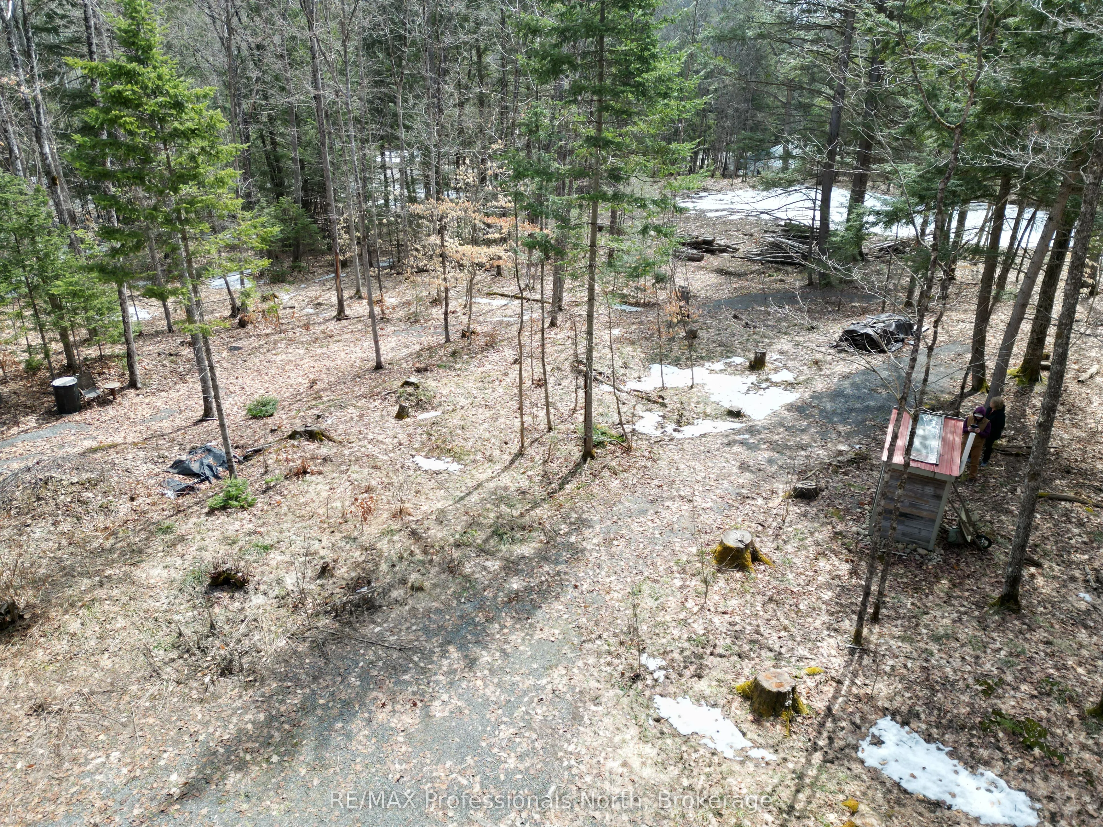 1231 Big Hawk Lake Road