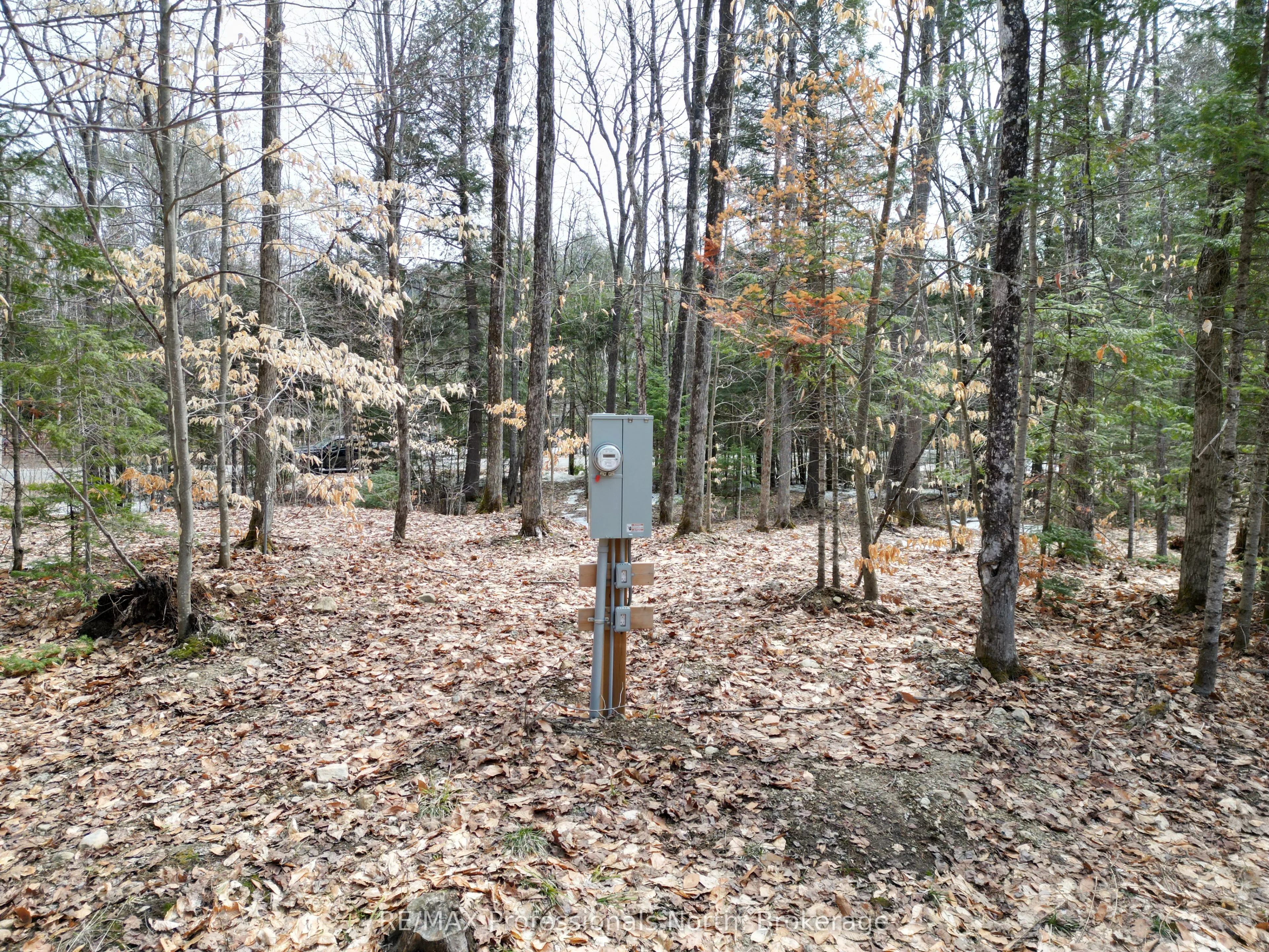 1231 Big Hawk Lake Road