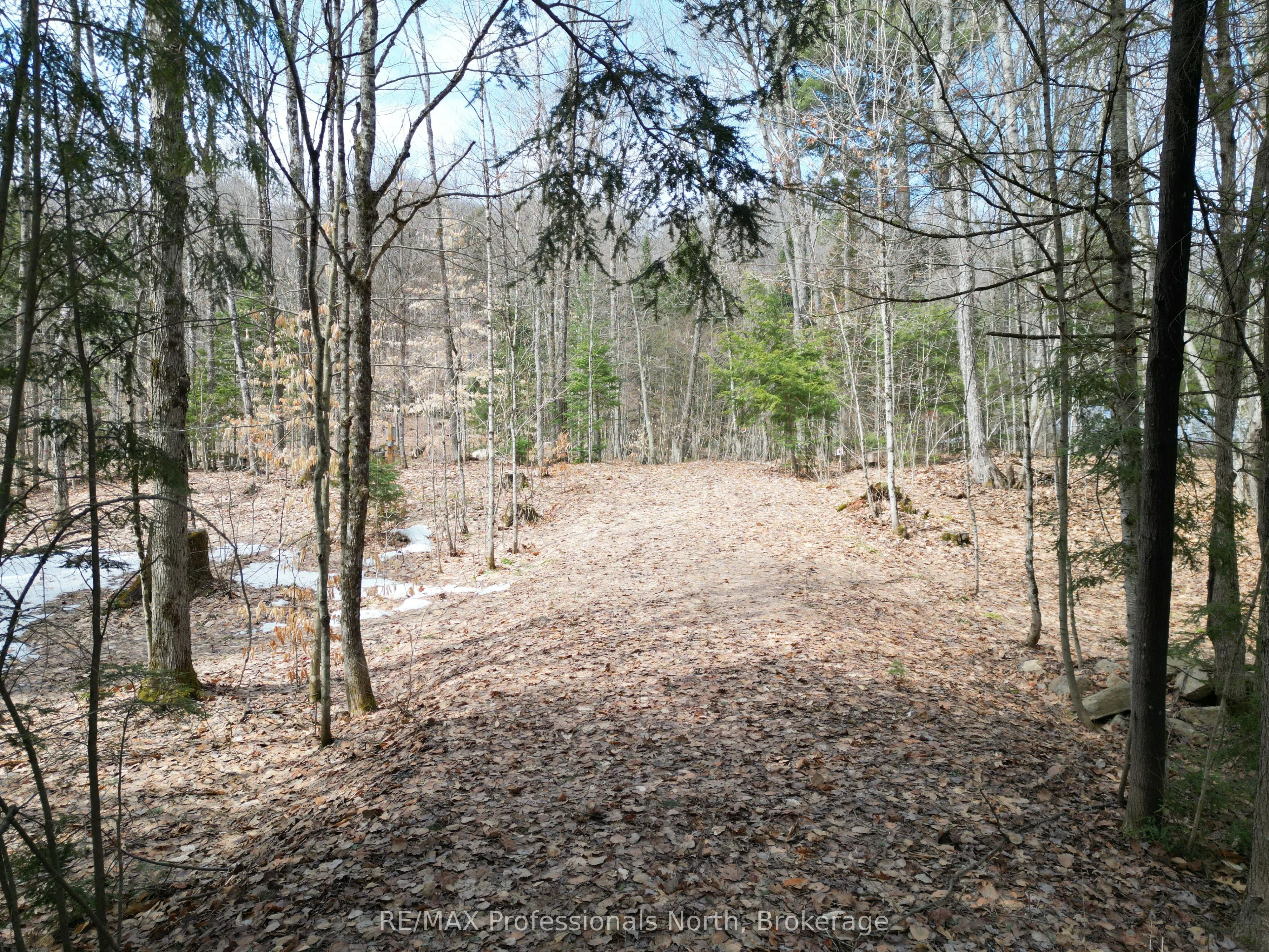 1231 Big Hawk Lake Road