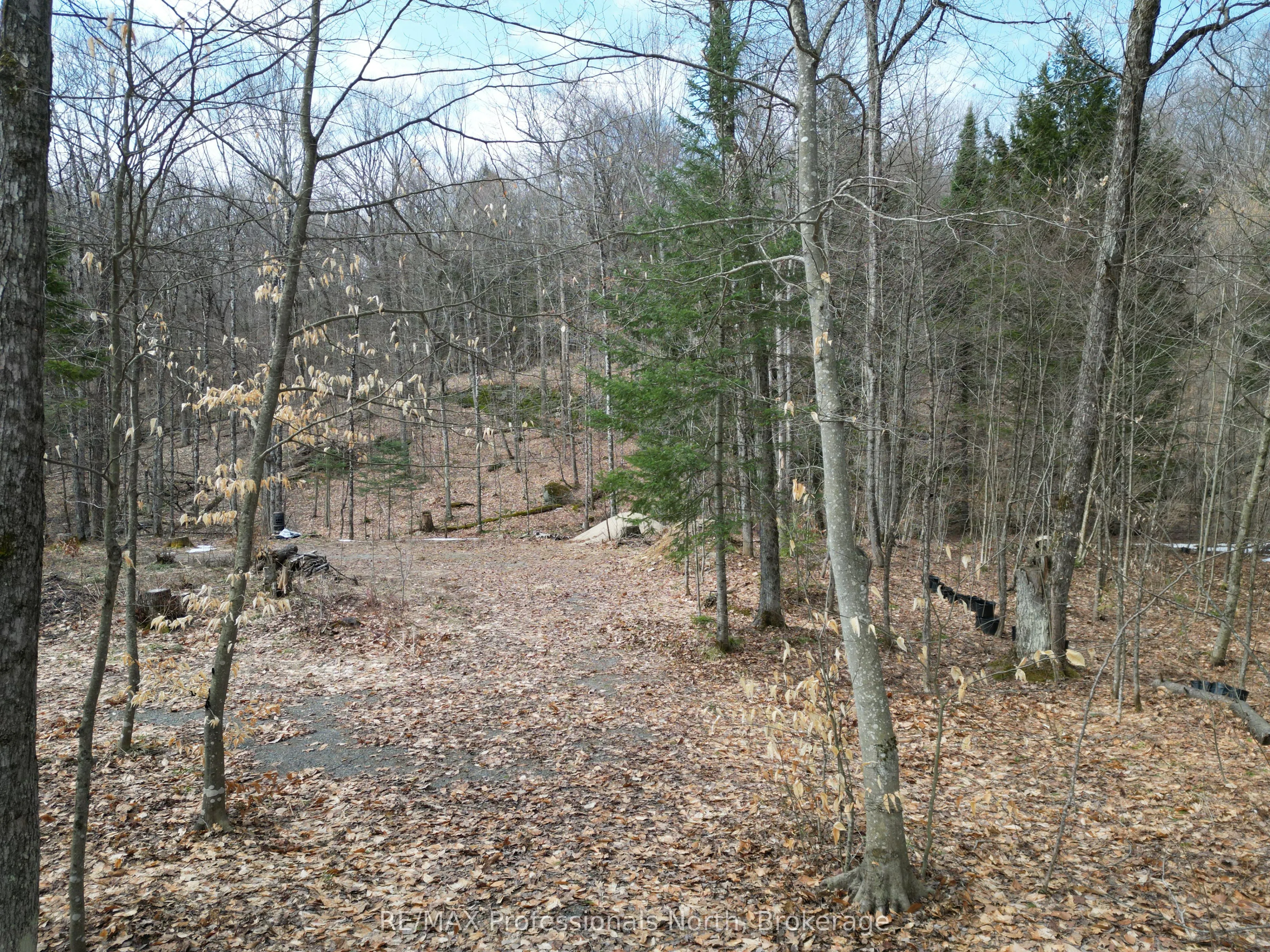 1231 Big Hawk Lake Road