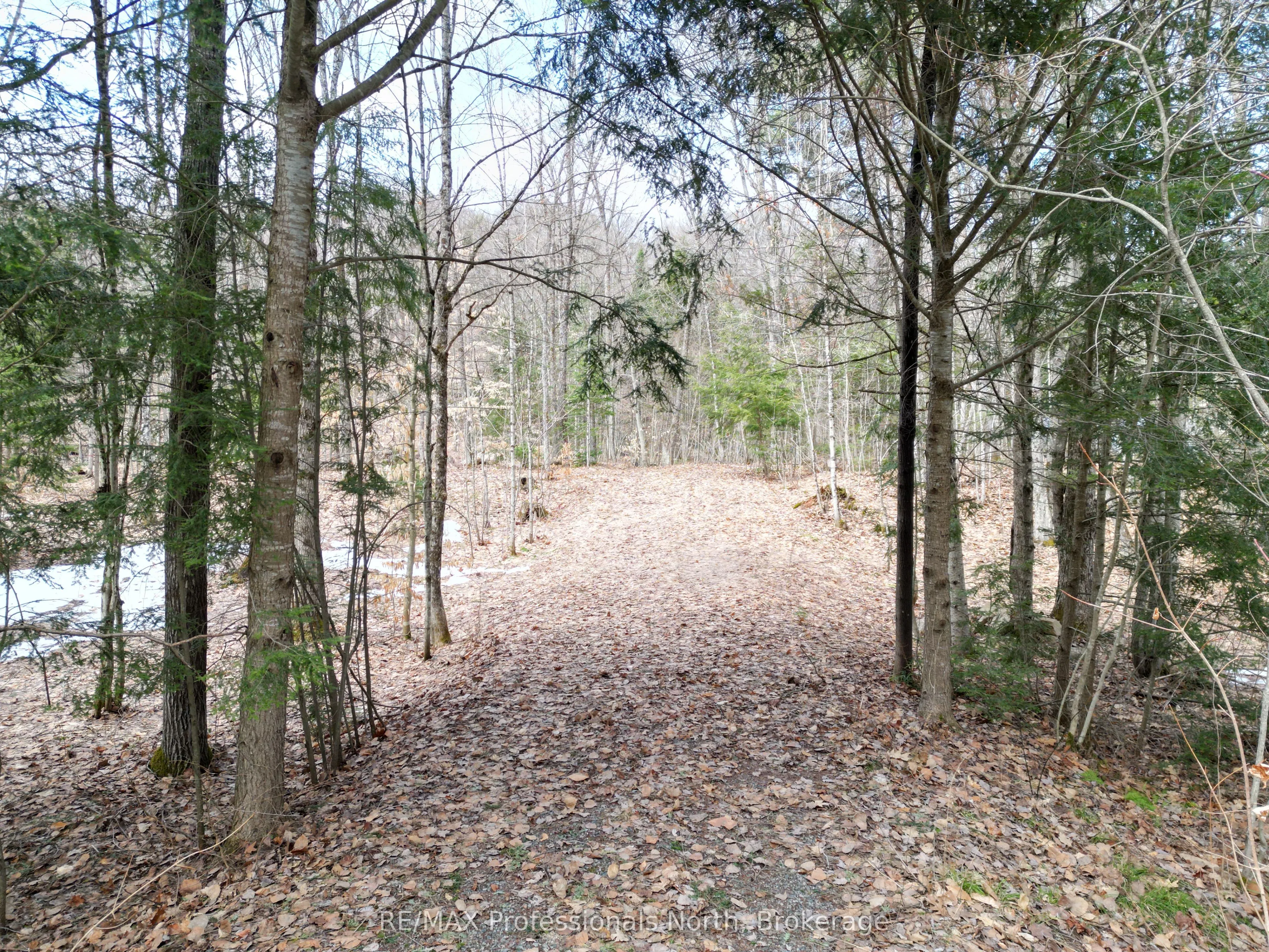 1231 Big Hawk Lake Road