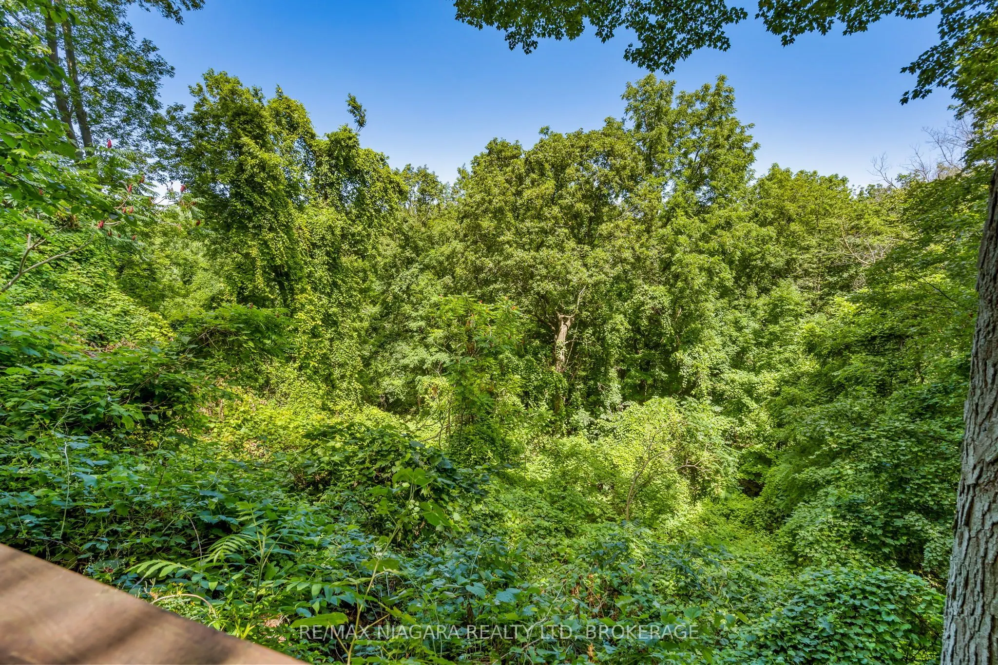 429 Ridge Road E