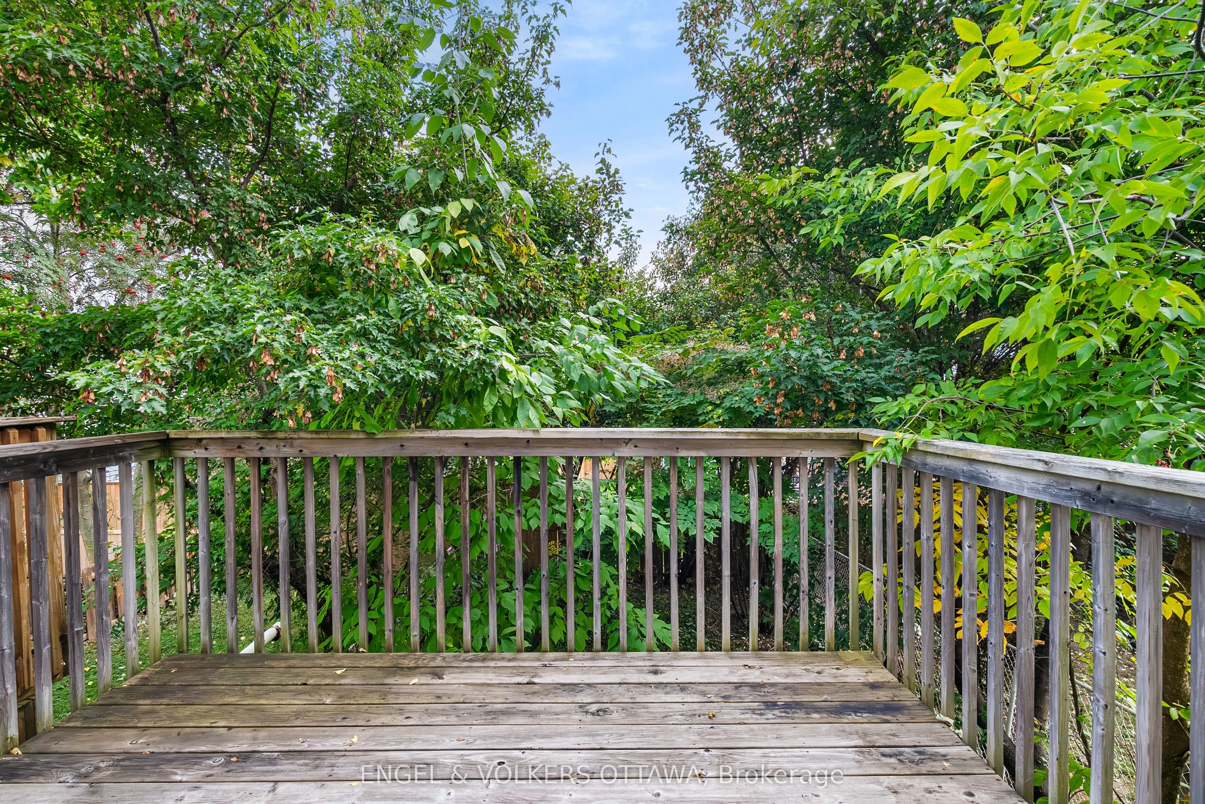 6 Bridgewater Terrace