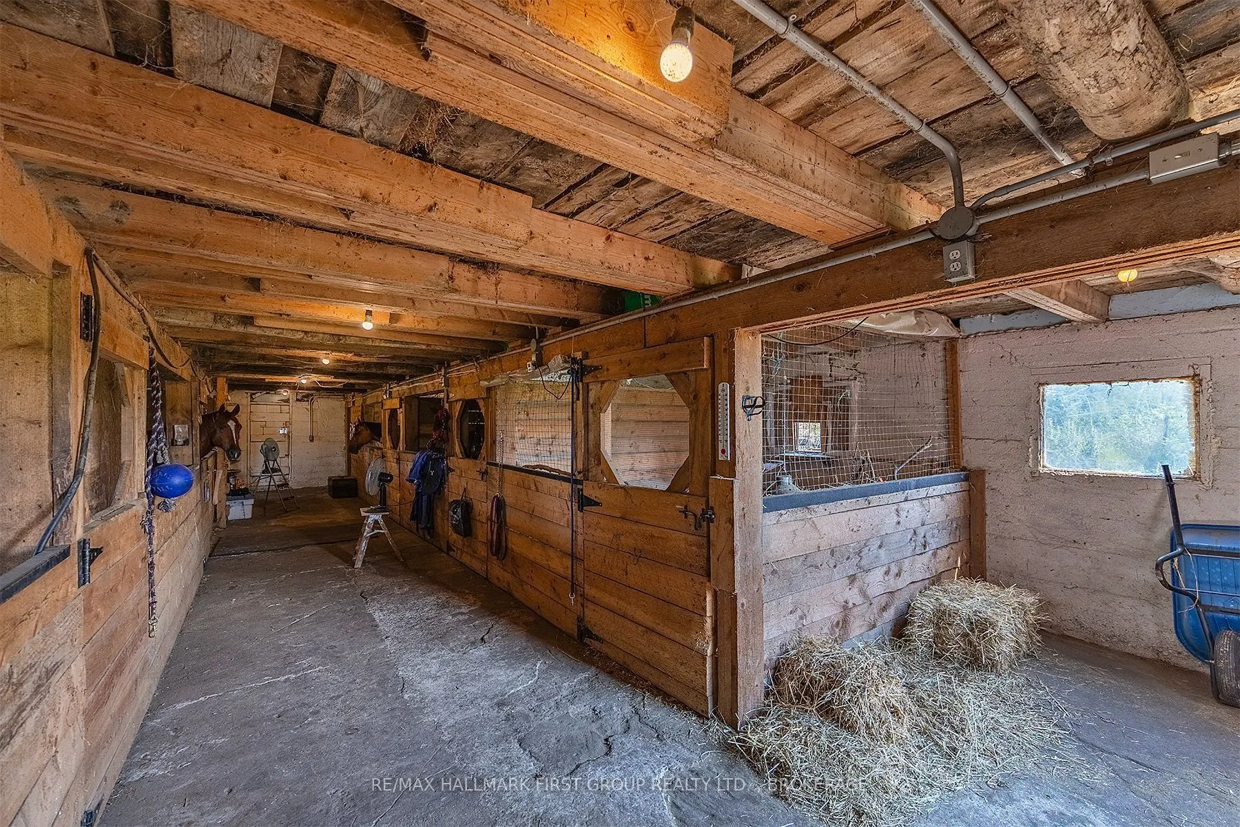 3656 County Rd 14