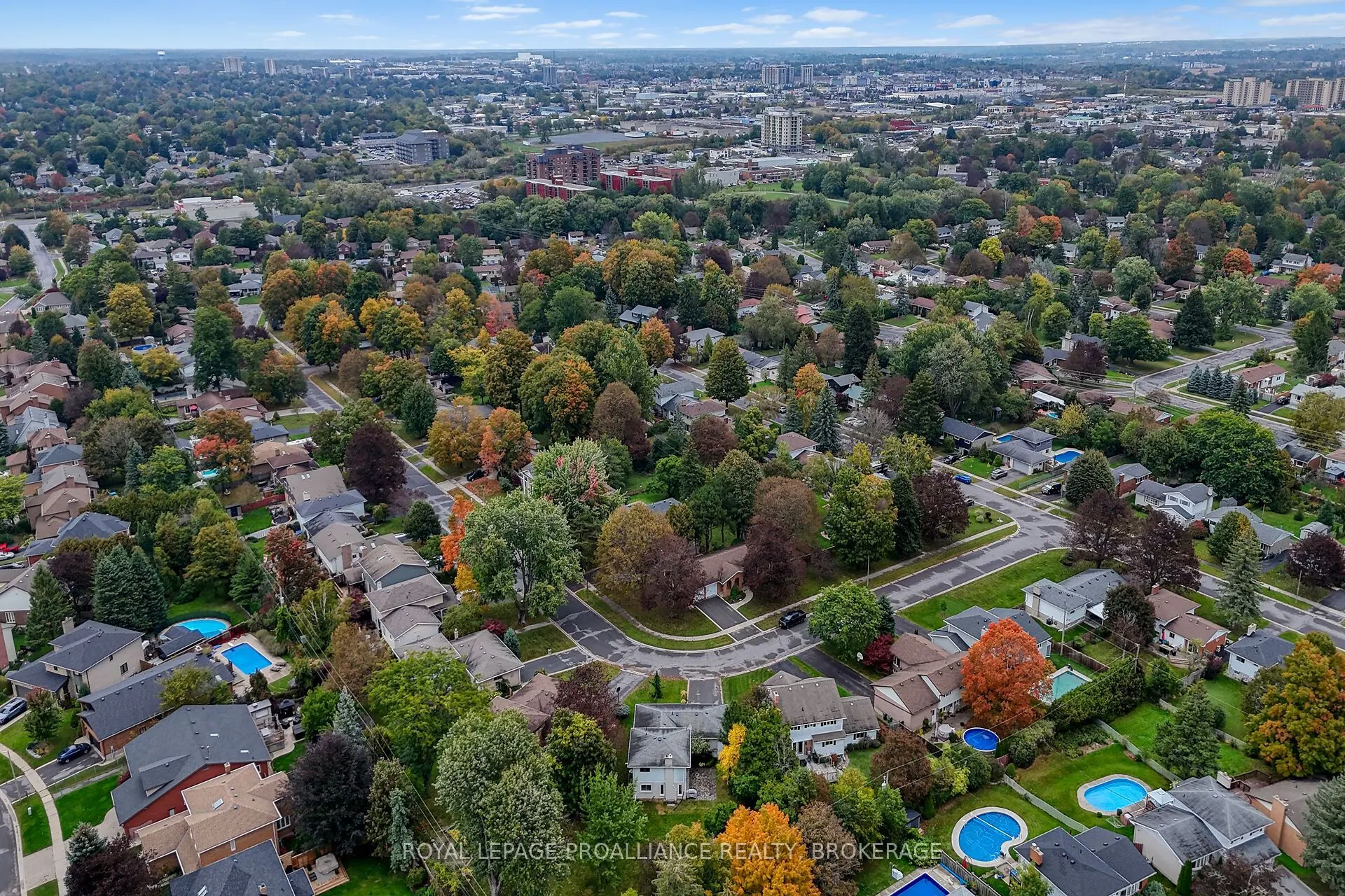 383 Bernice Drive