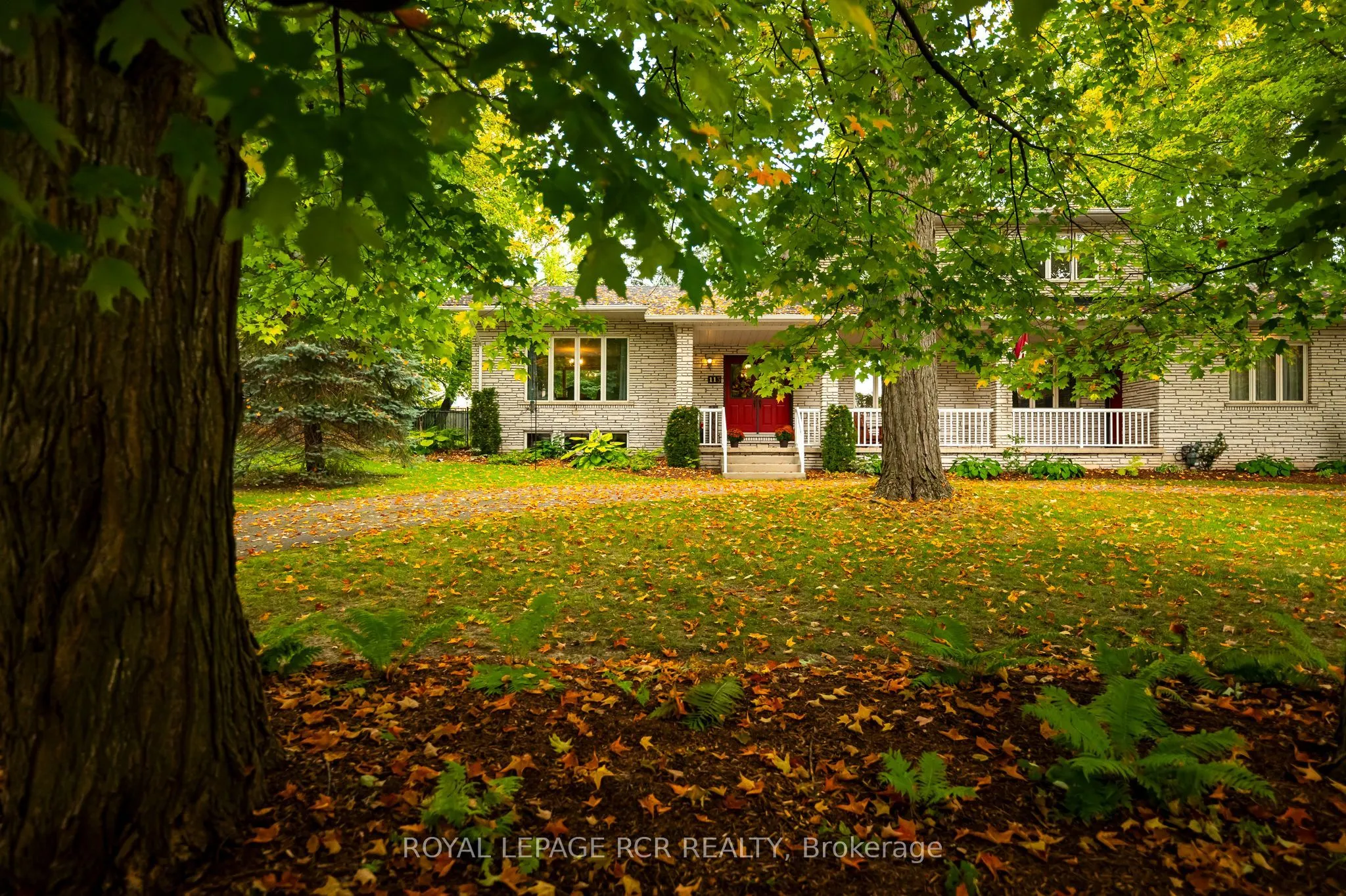 113 Birch Grove