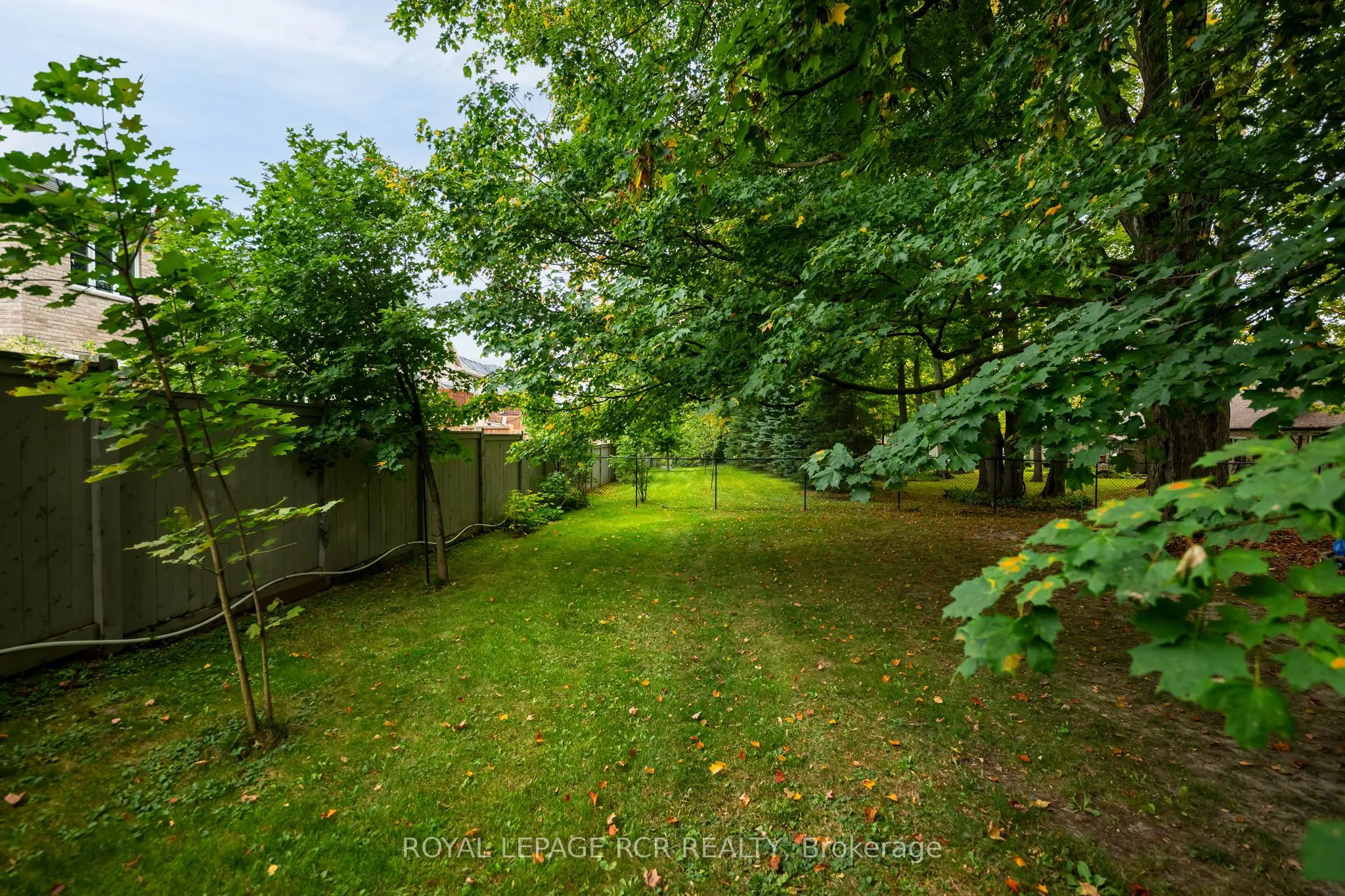 113 Birch Grove