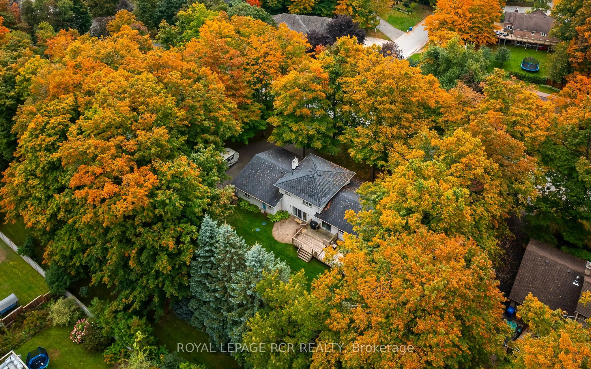 113 Birch Grove