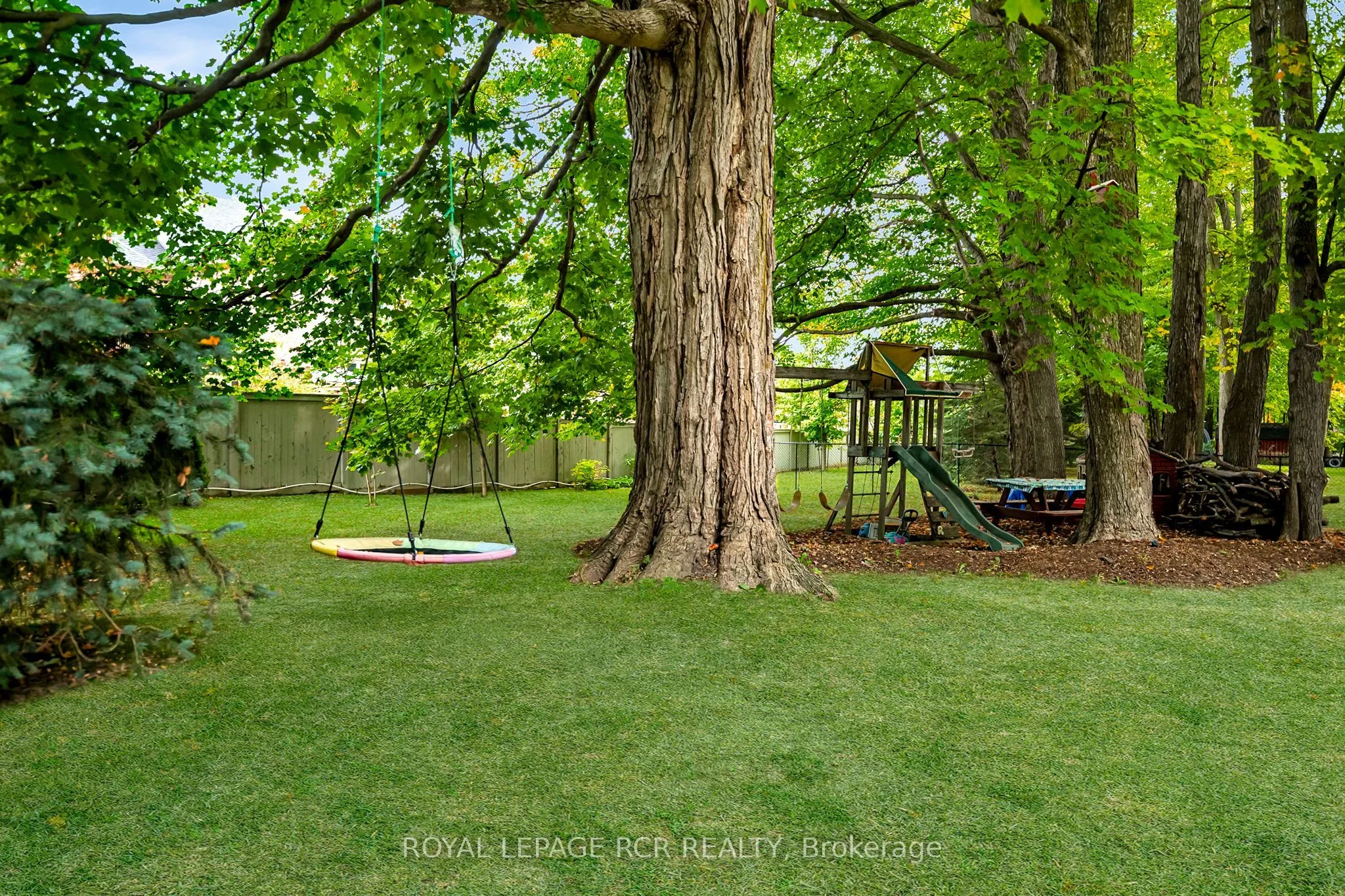 113 Birch Grove