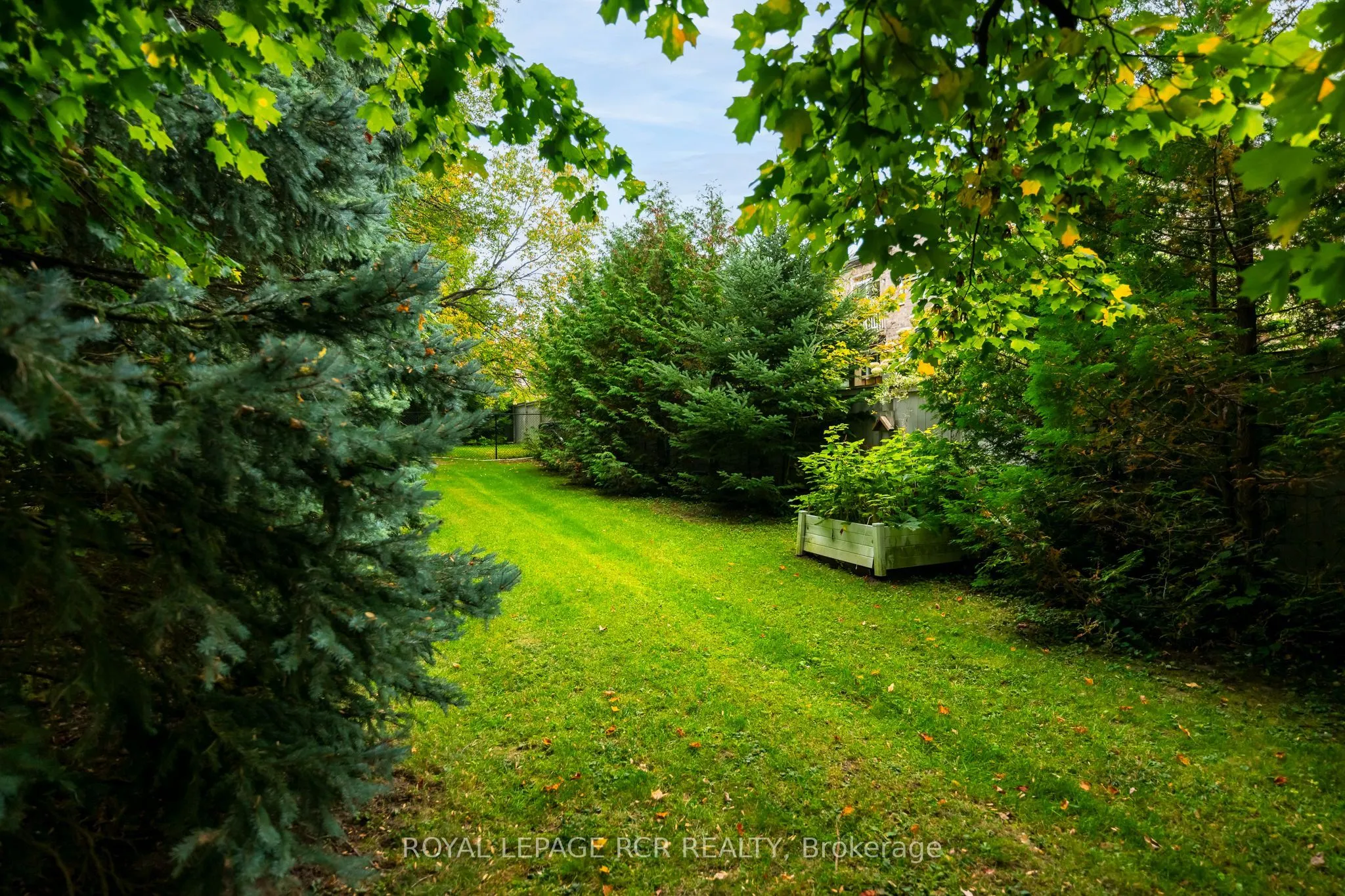 113 Birch Grove