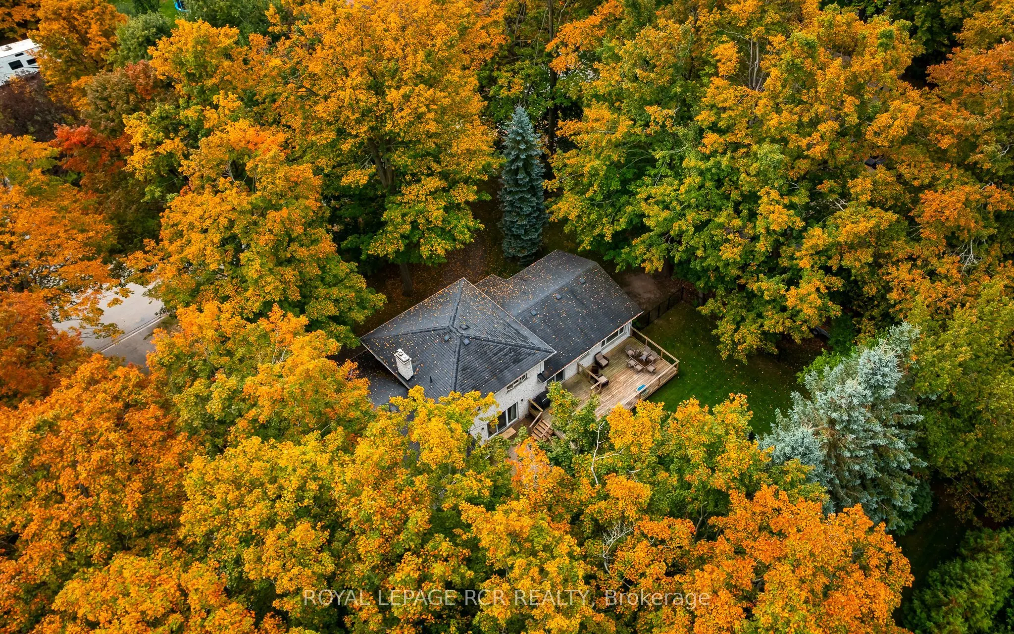 113 Birch Grove