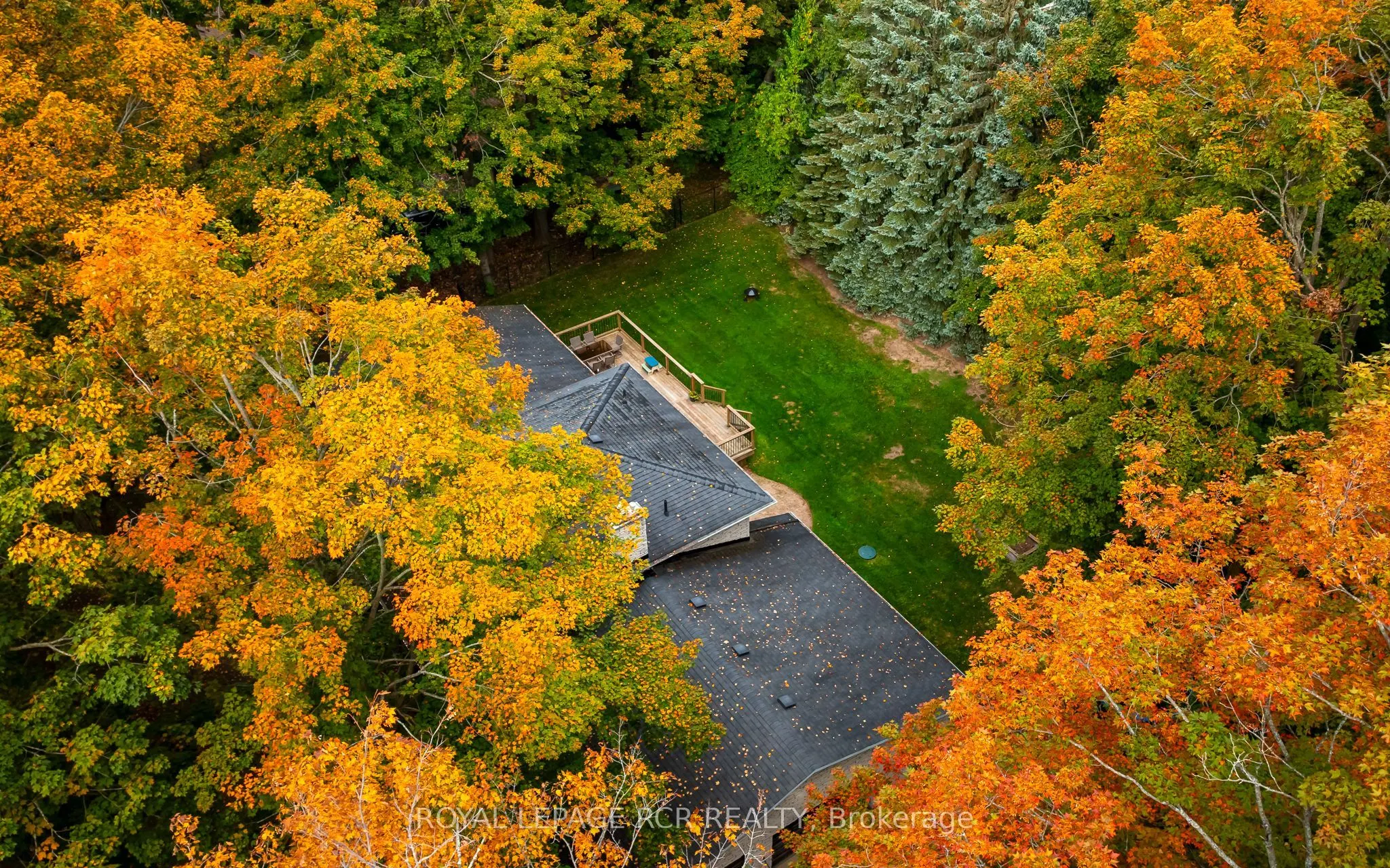 113 Birch Grove