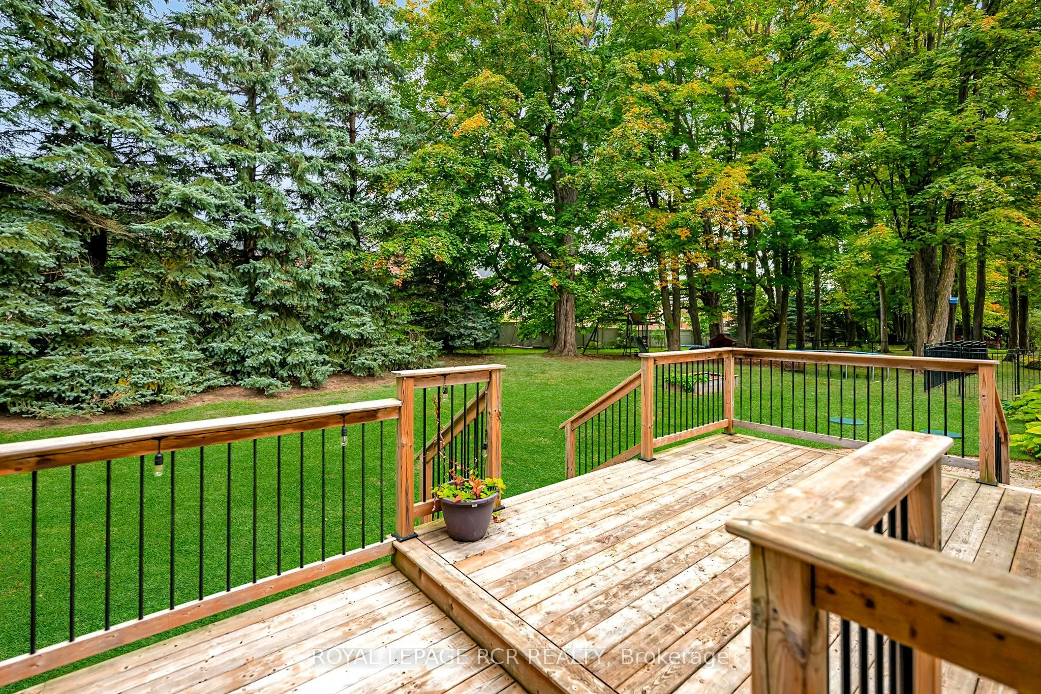 113 Birch Grove