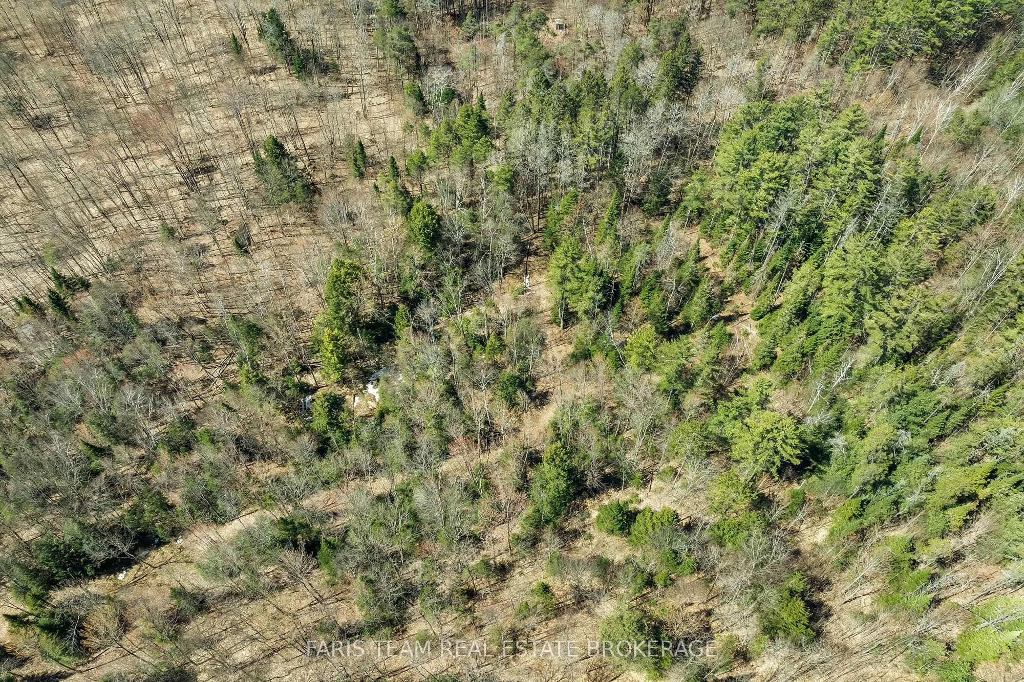 2180-2186 Highway 141