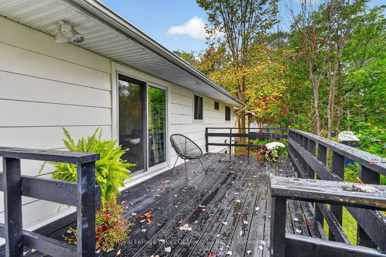 288 Musquash Road