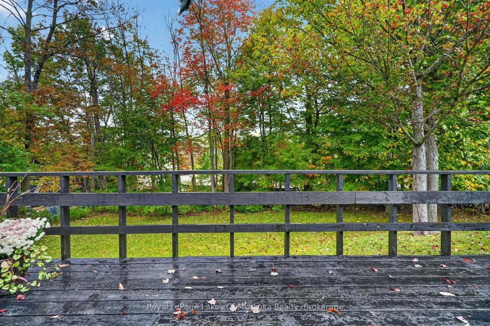288 Musquash Road