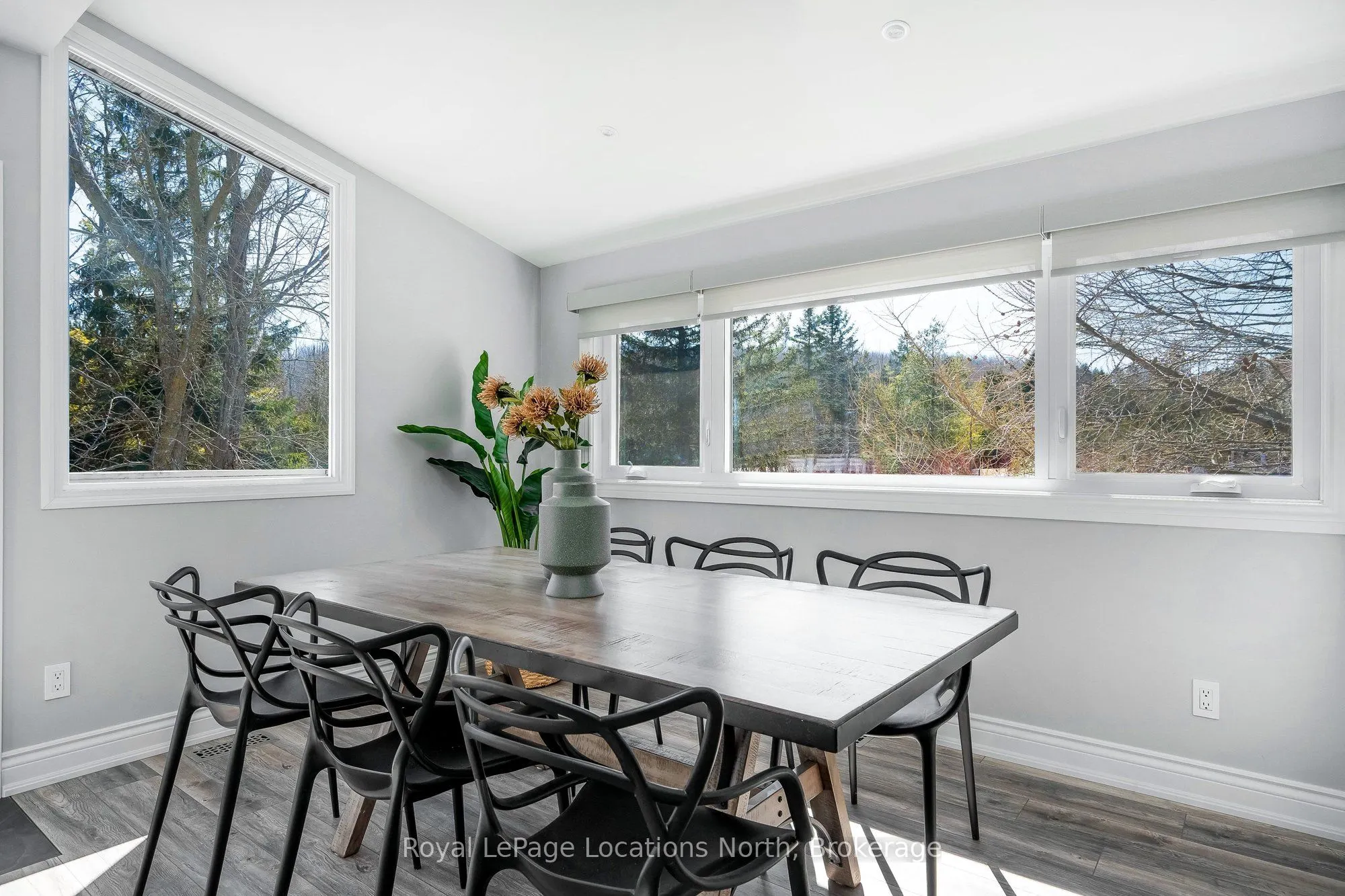 129 Scandia Lane