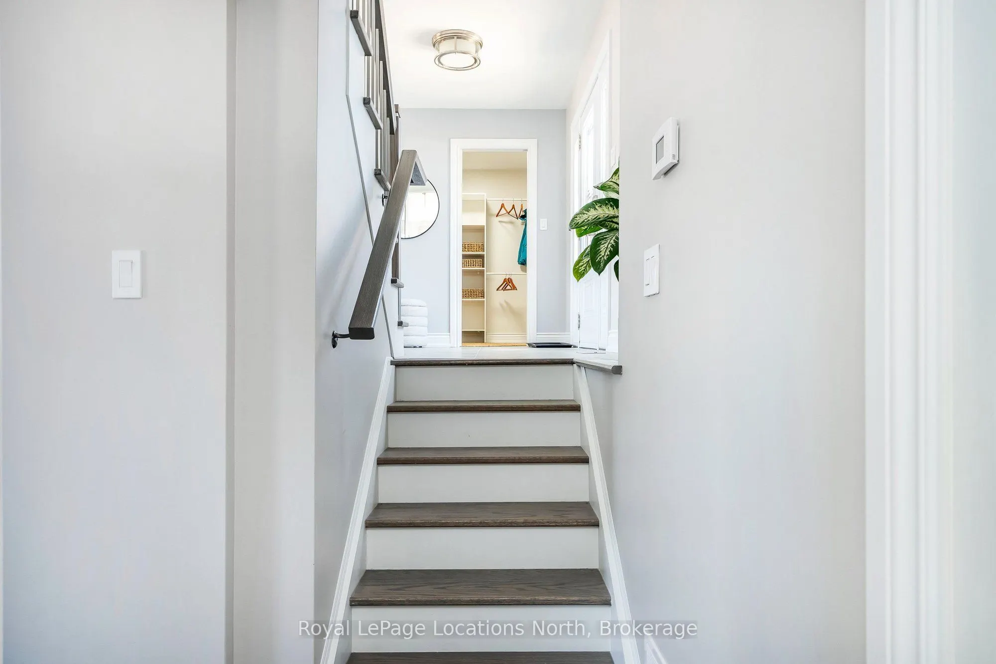 129 Scandia Lane
