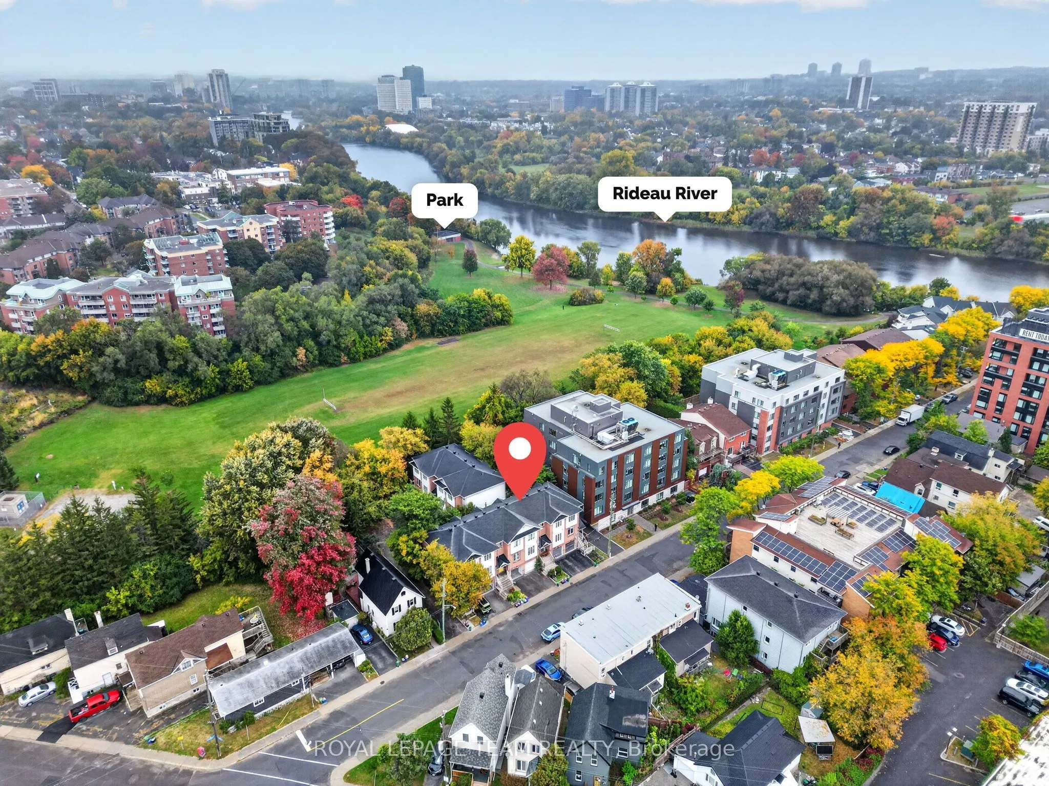 13 Robinson Avenue #11