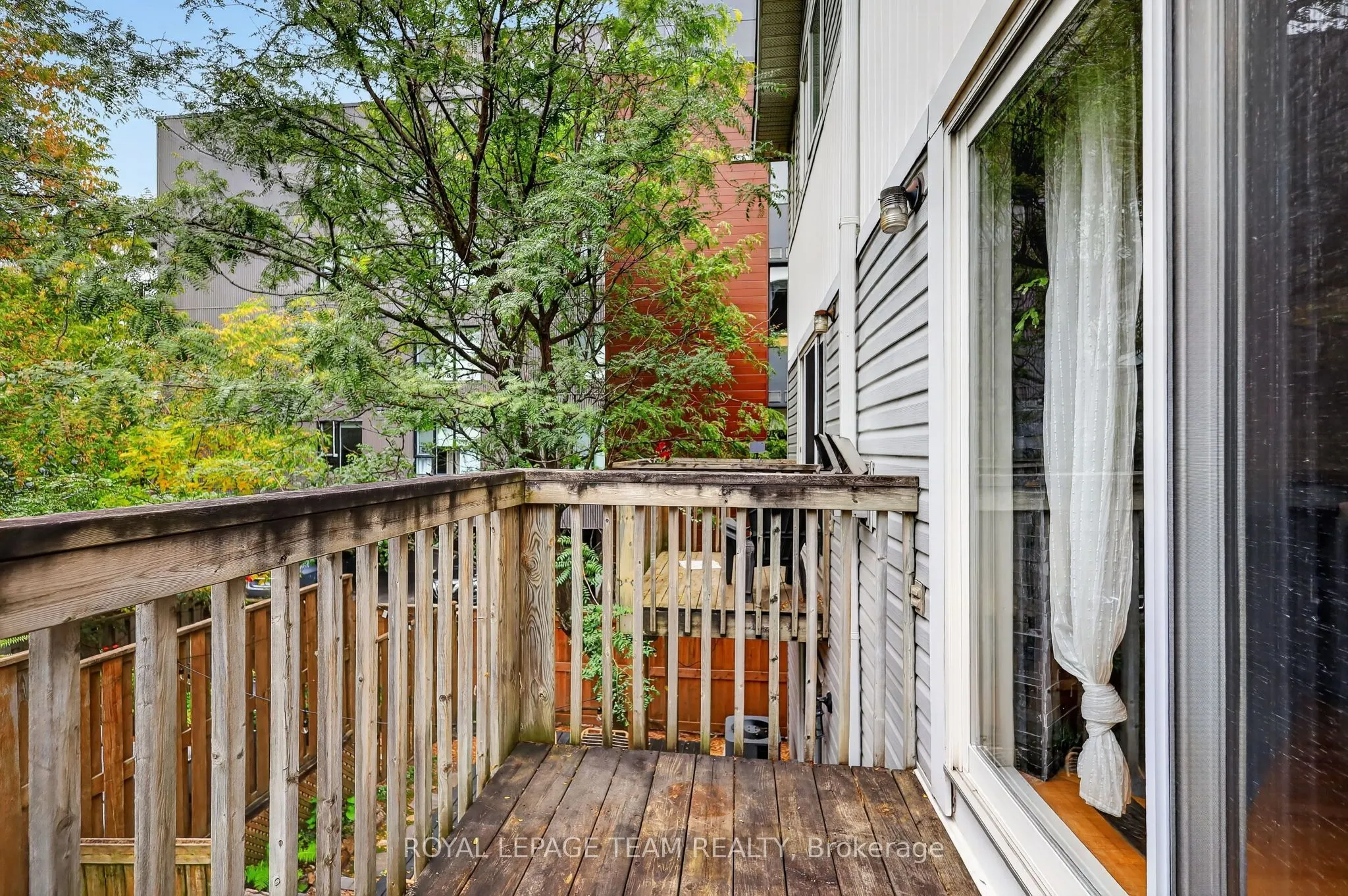 13 Robinson Avenue #11