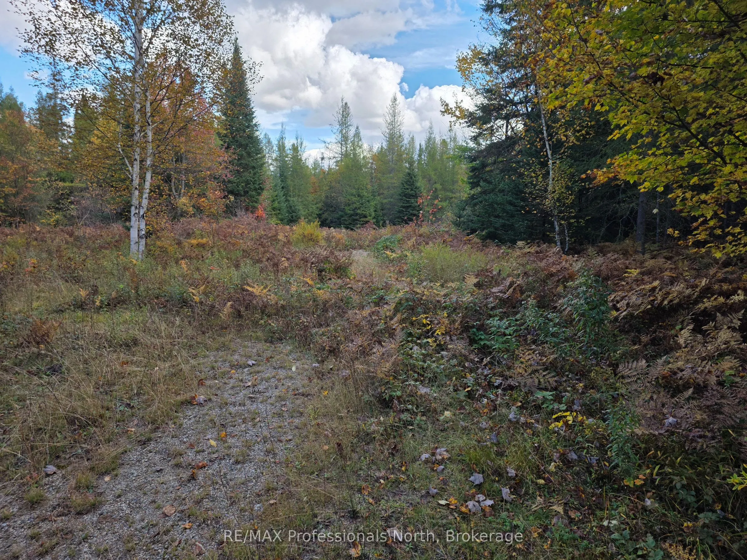 3907 Stisted Road
