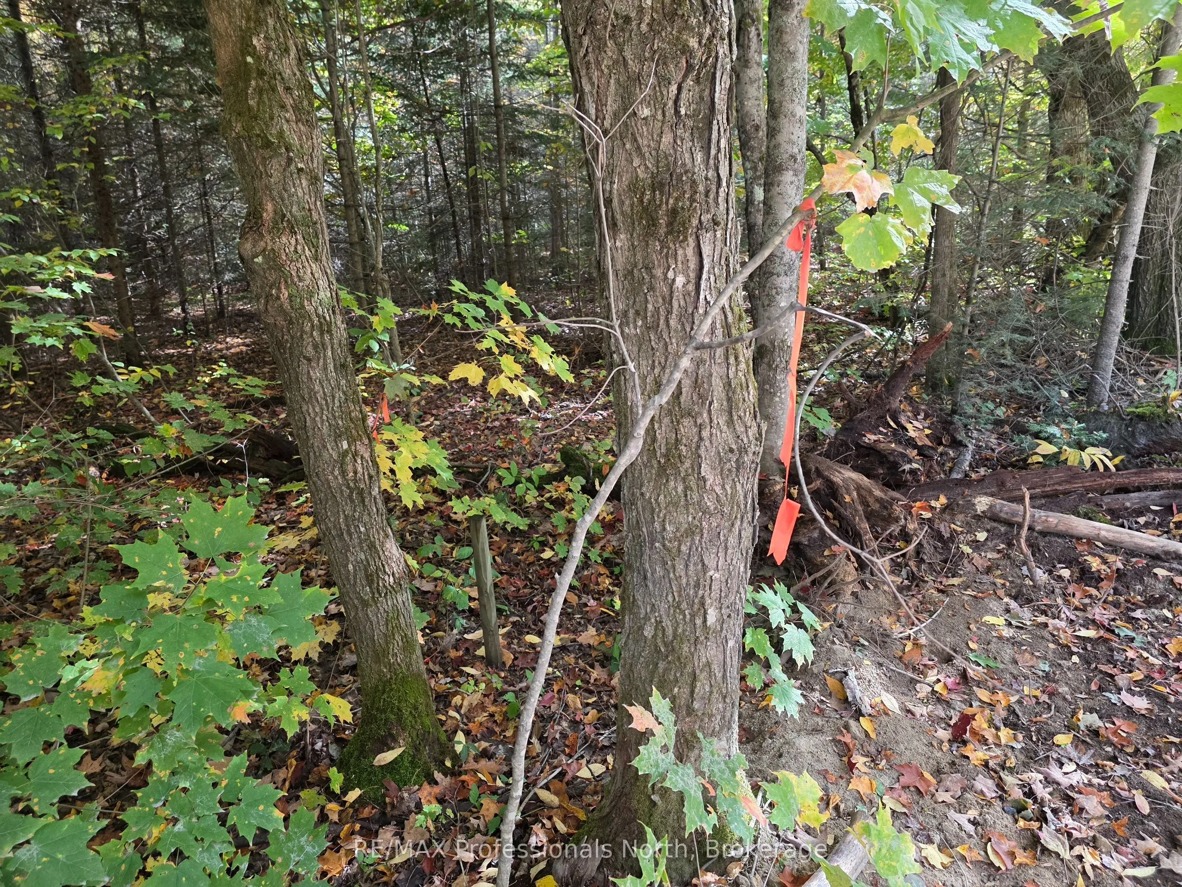 3907 Stisted Road