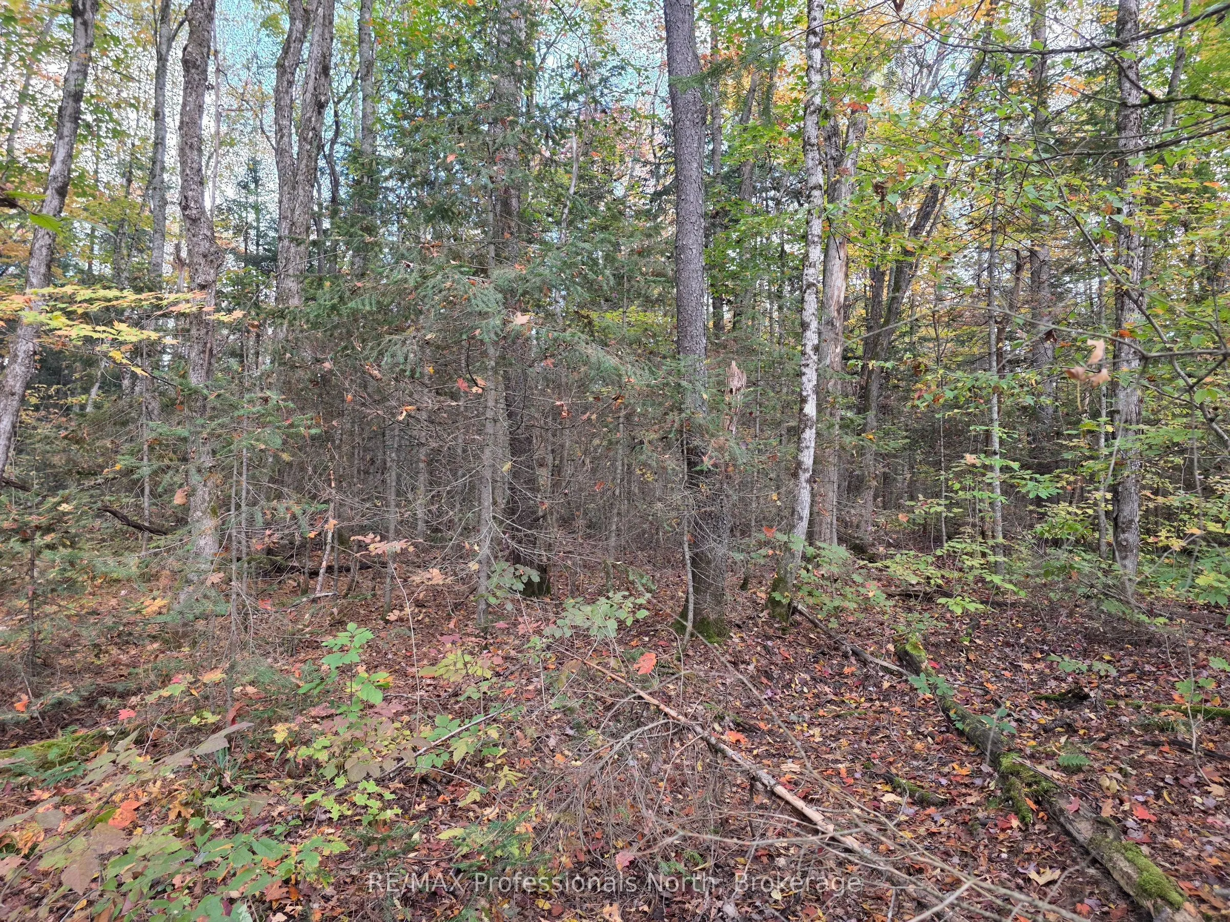 3907 Stisted Road