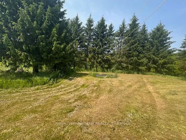 5296 Panmure Road