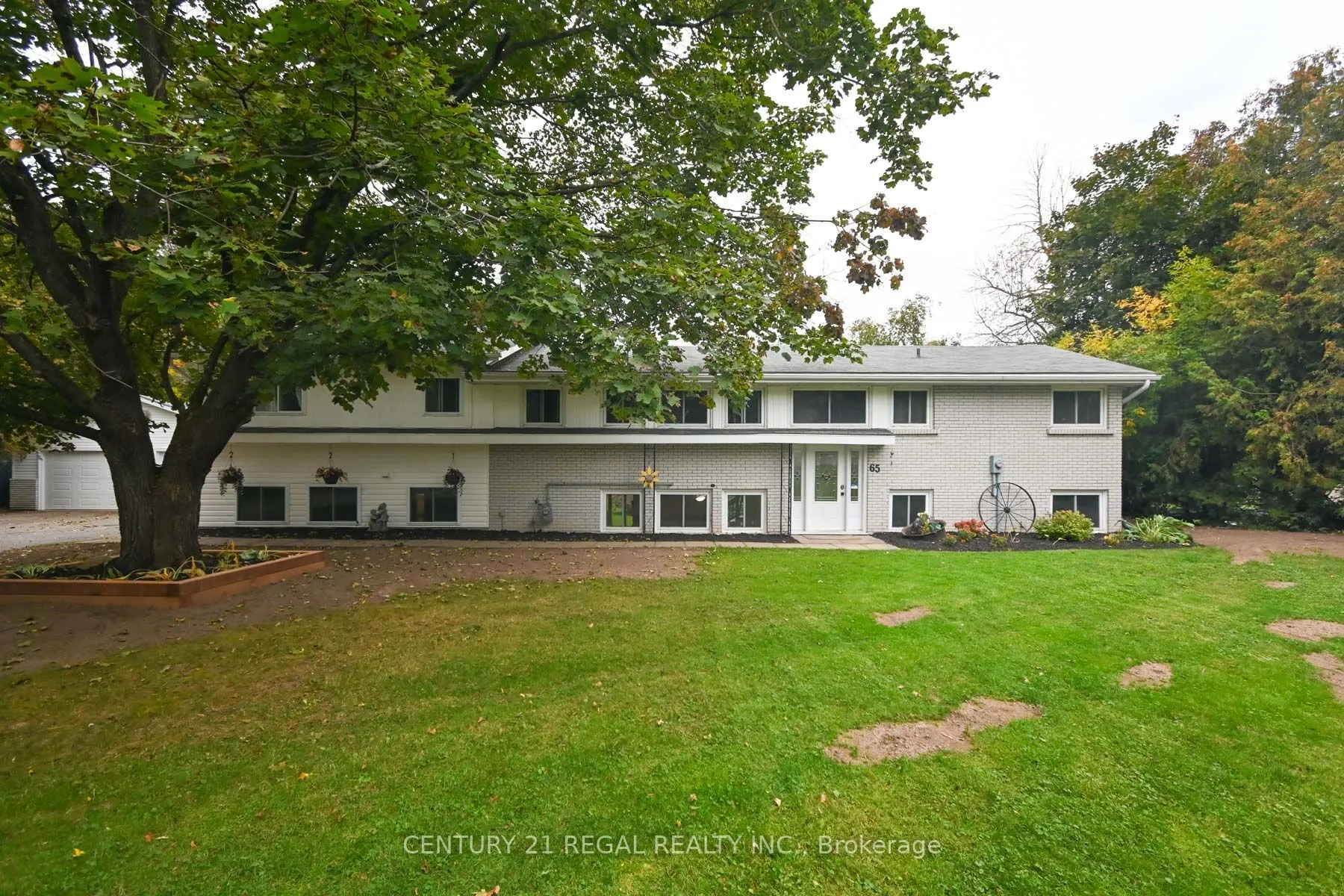 65 Cameron Street