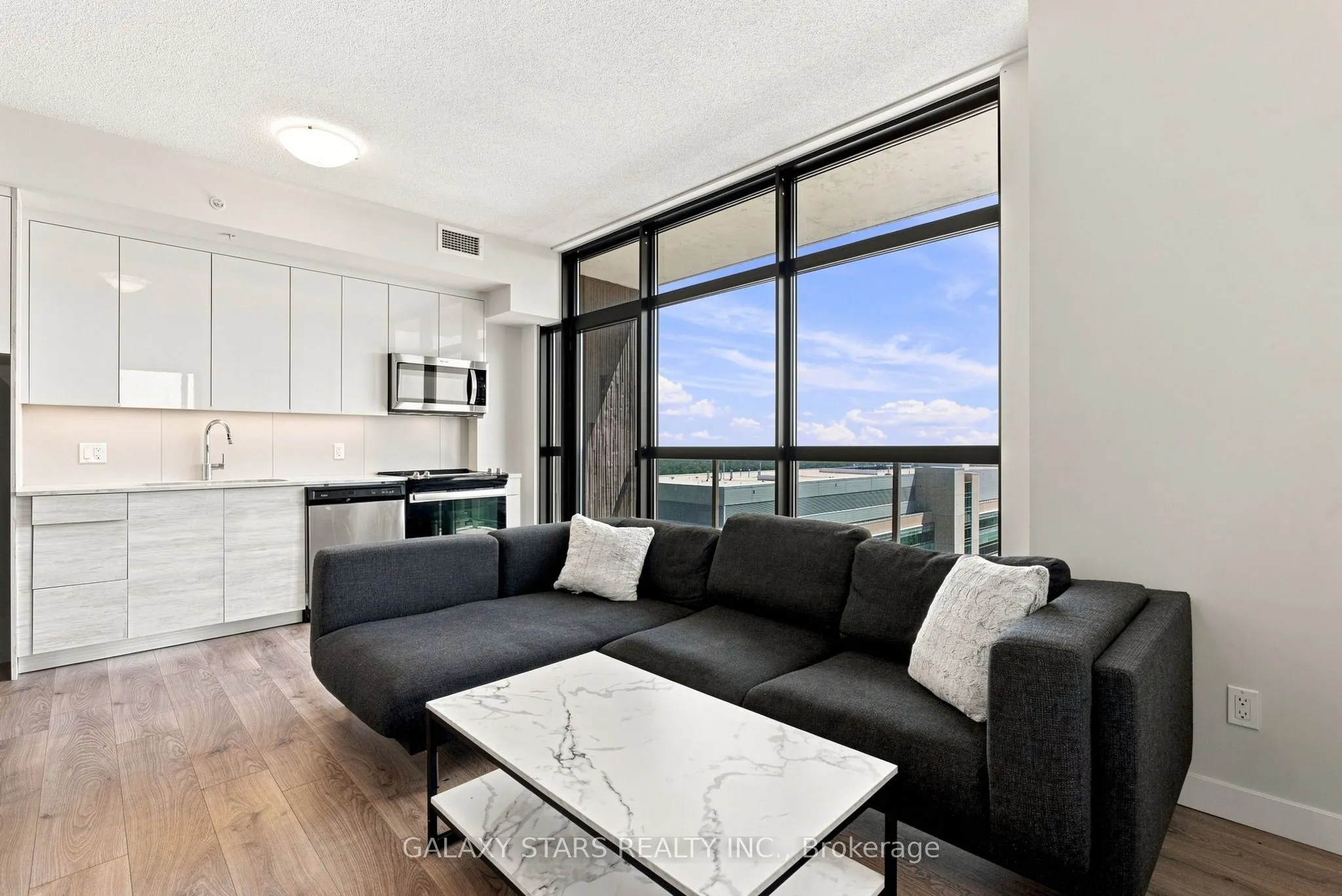 60 Frederick Street #1614