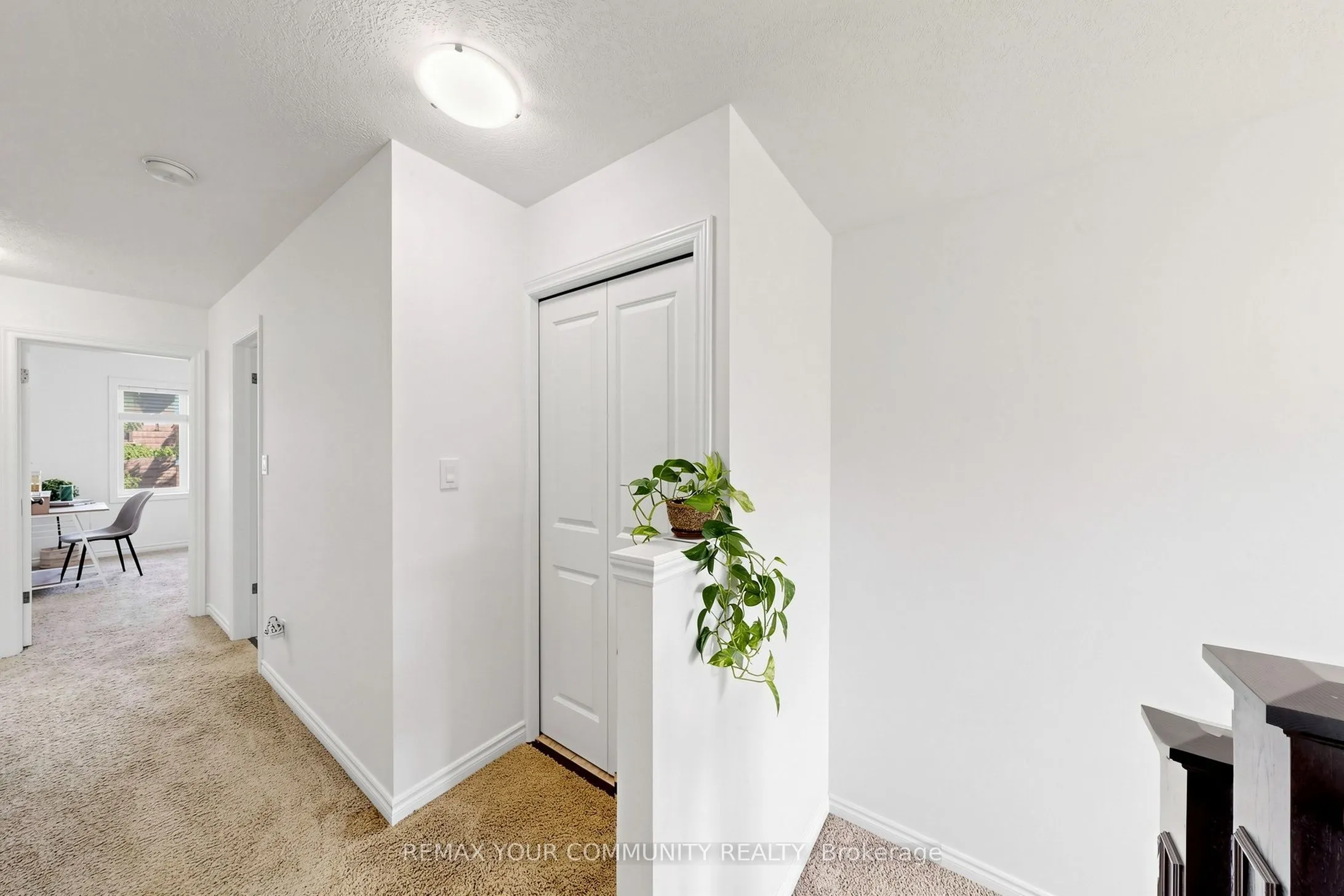 167 Arkell Road #50