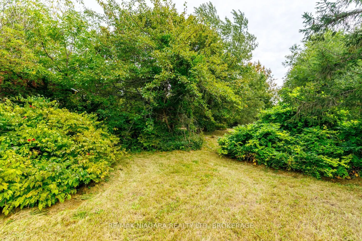 567 Lyons Creek Road