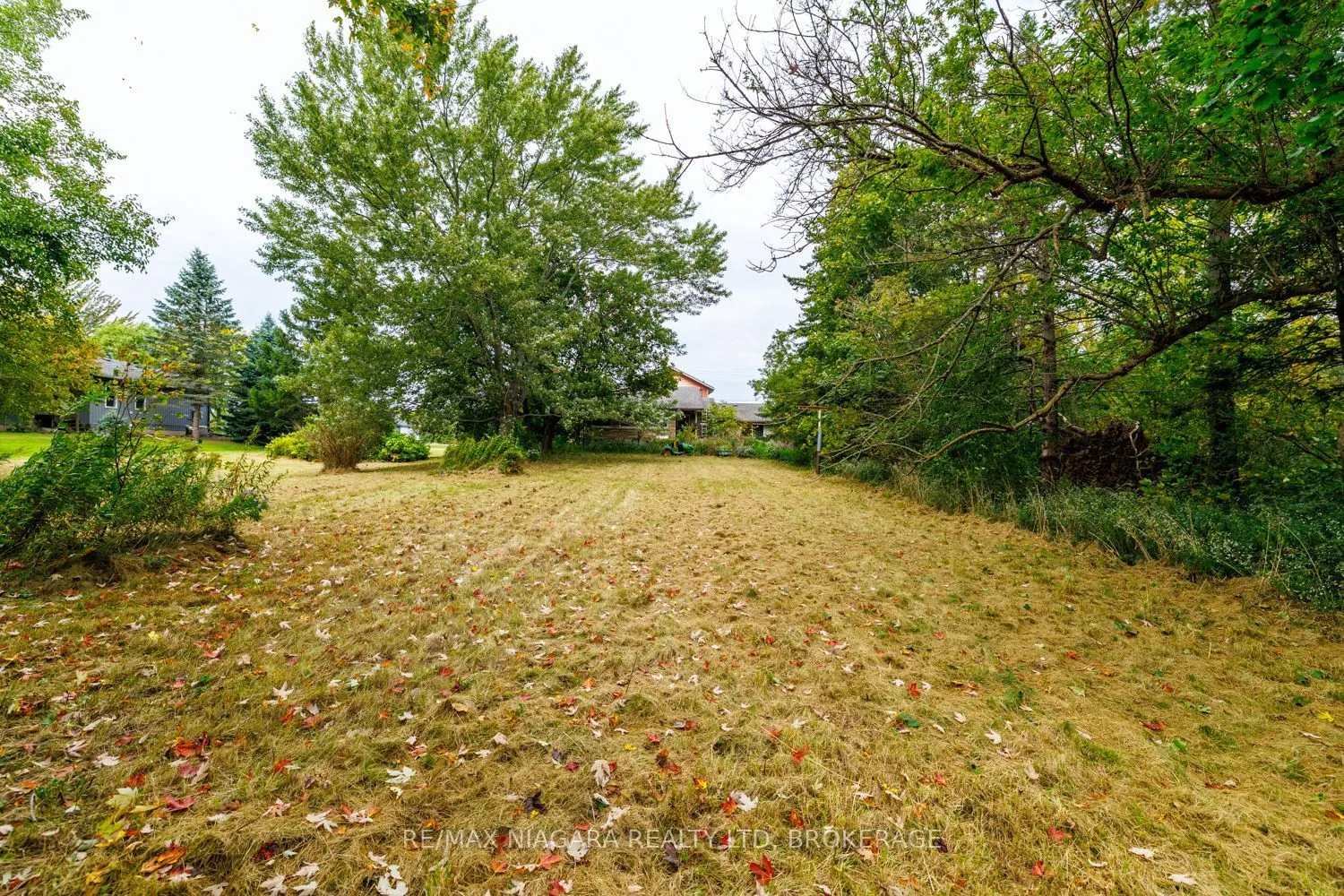 567 Lyons Creek Road
