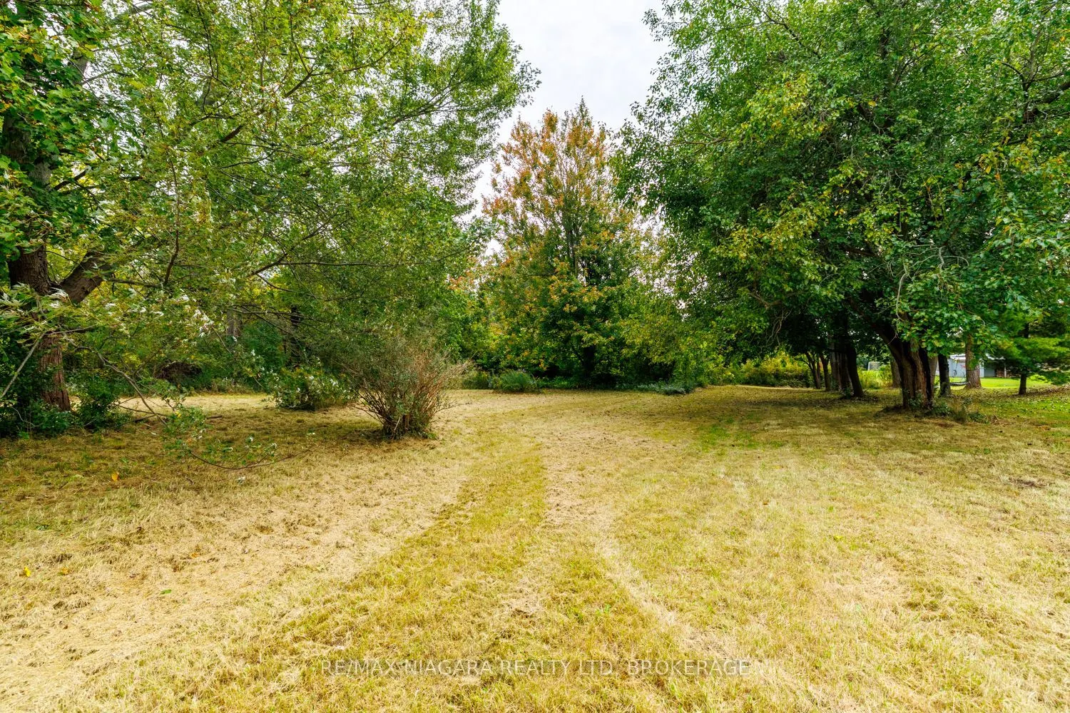 567 Lyons Creek Road