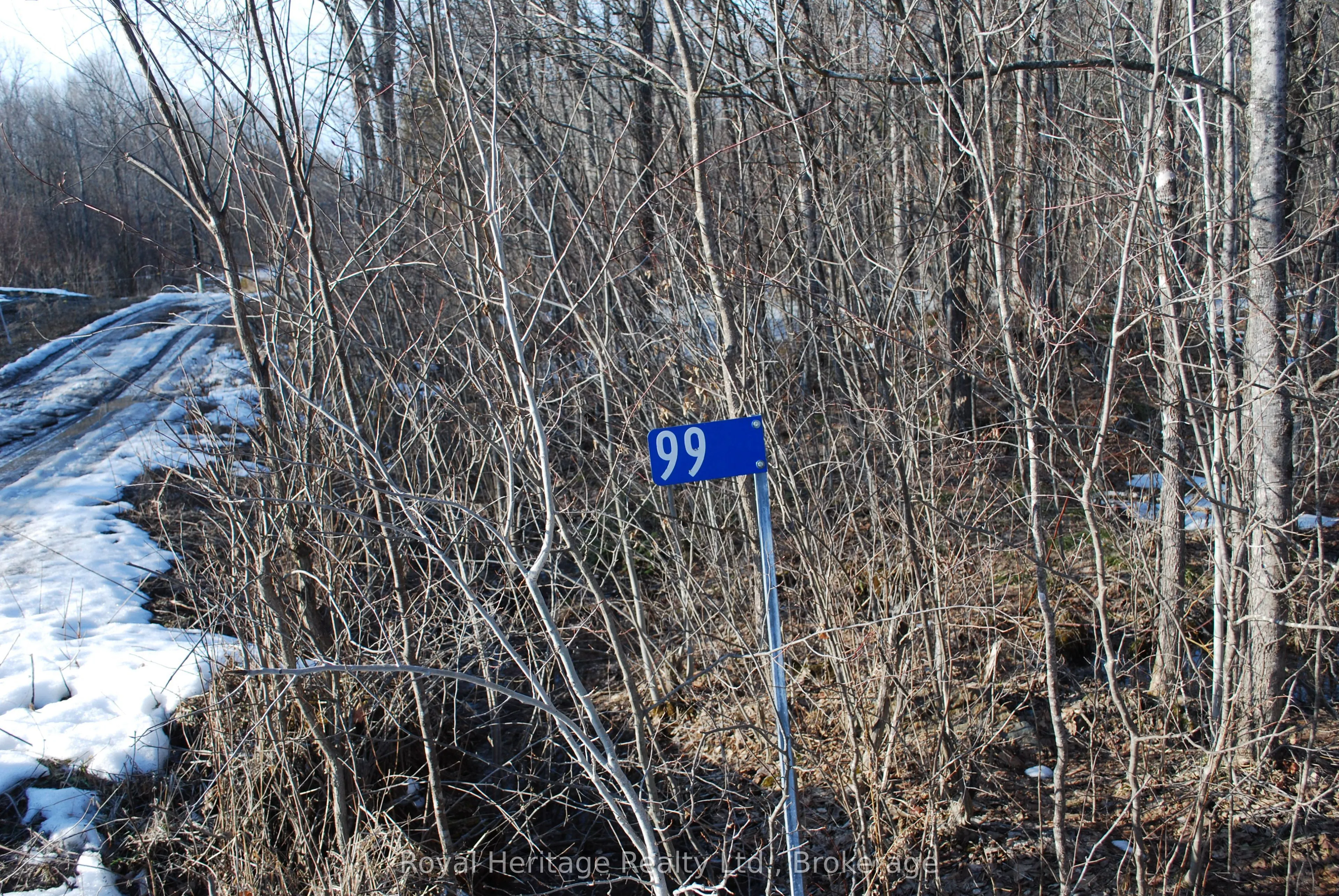 99 Future Lane