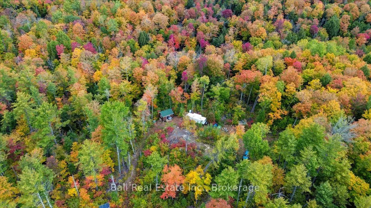 4249 Old Hastings Road