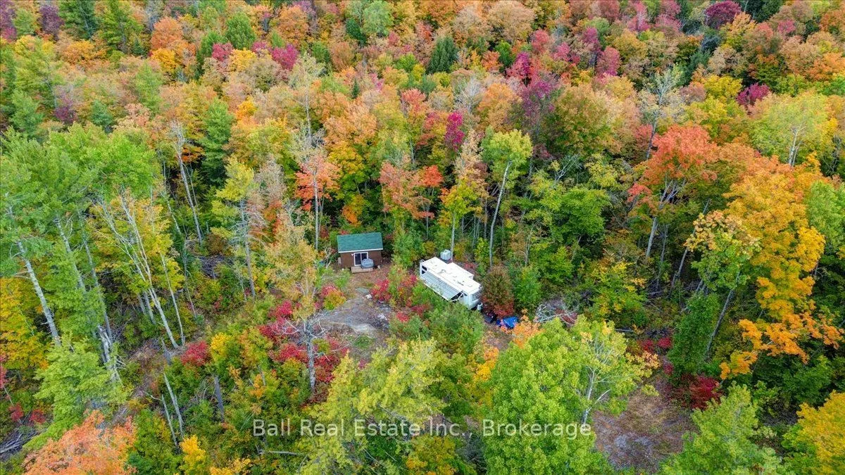 4249 Old Hastings Road