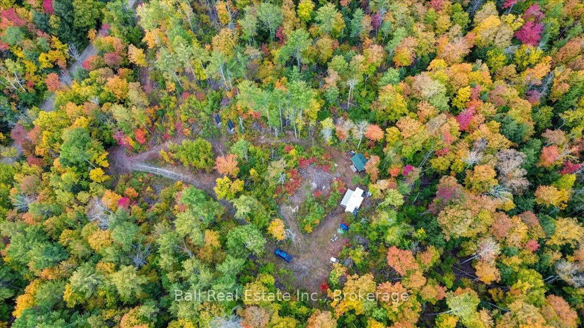 4249 Old Hastings Road