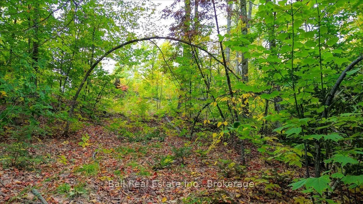 4249 Old Hastings Road